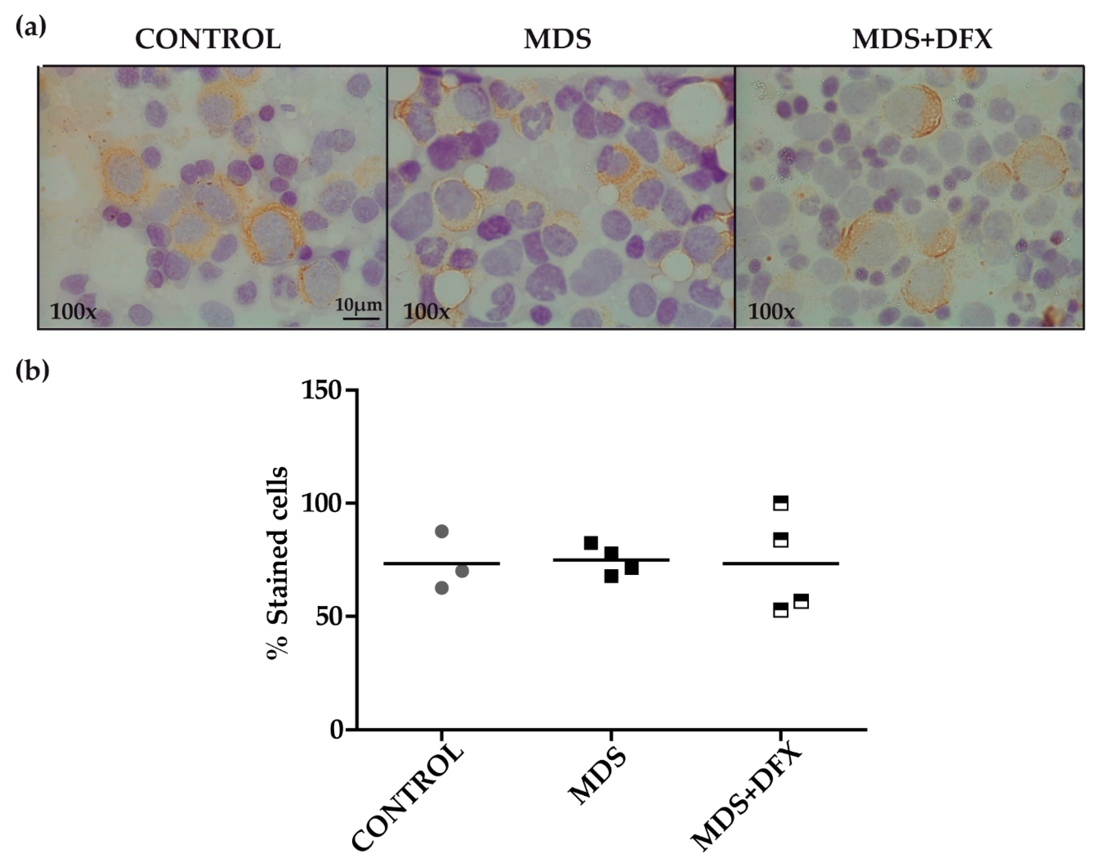 Antioxidants 08 00508 g002 Antioxidants 08 00508 g002