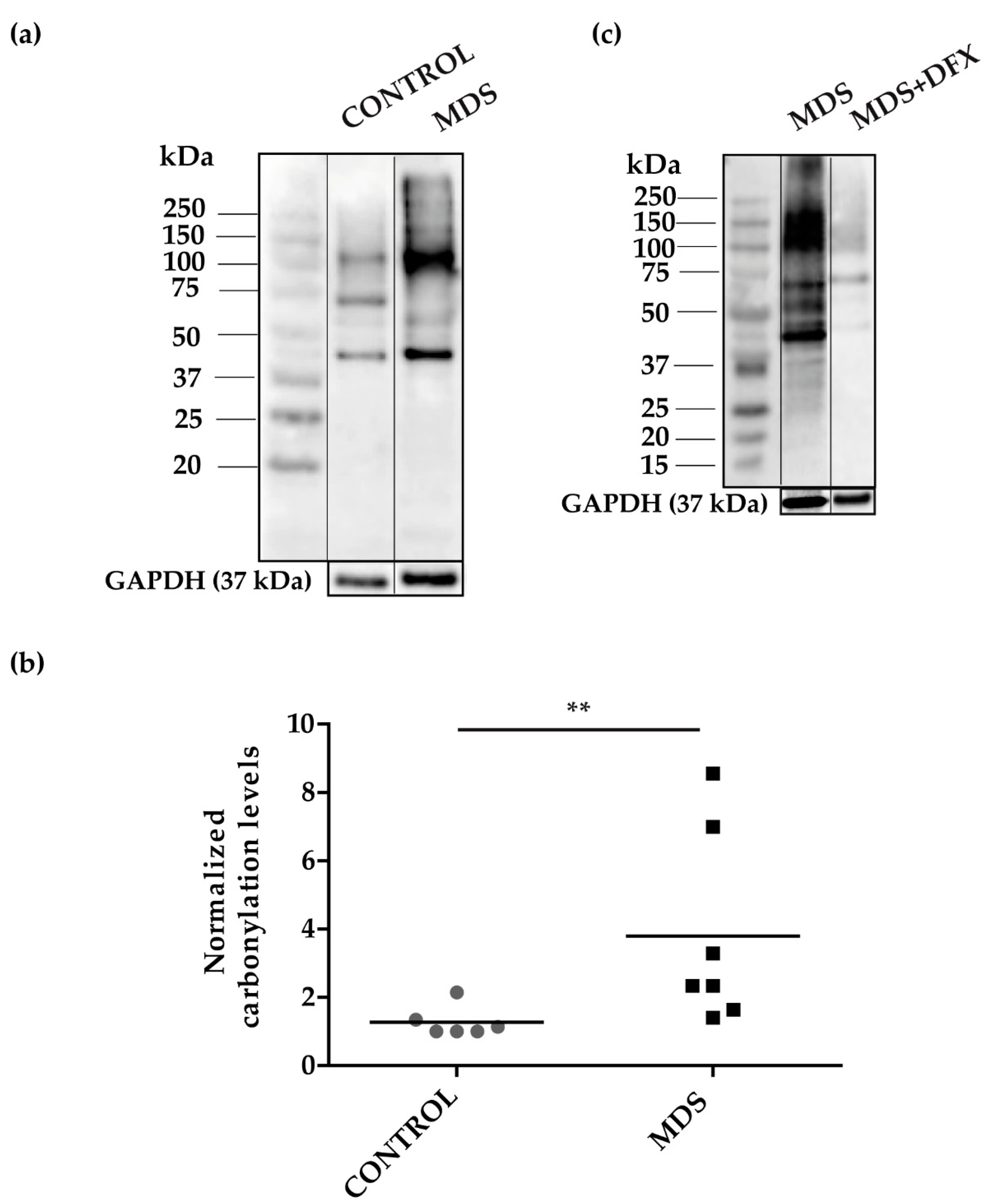 Antioxidants 08 00508 g003 Antioxidants 08 00508 g003
