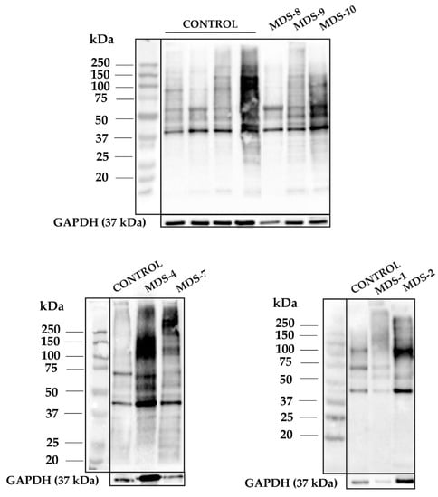 Antioxidants 08 00508 g0a2
