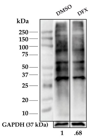 Antioxidants 08 00508 g0a3