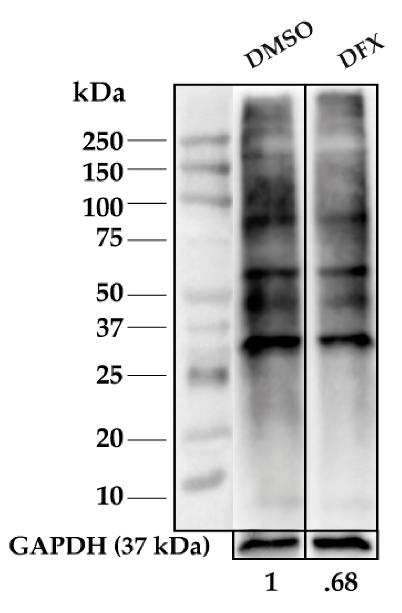 Antioxidants 08 00508 g0a3 Antioxidants 08 00508 g0a3