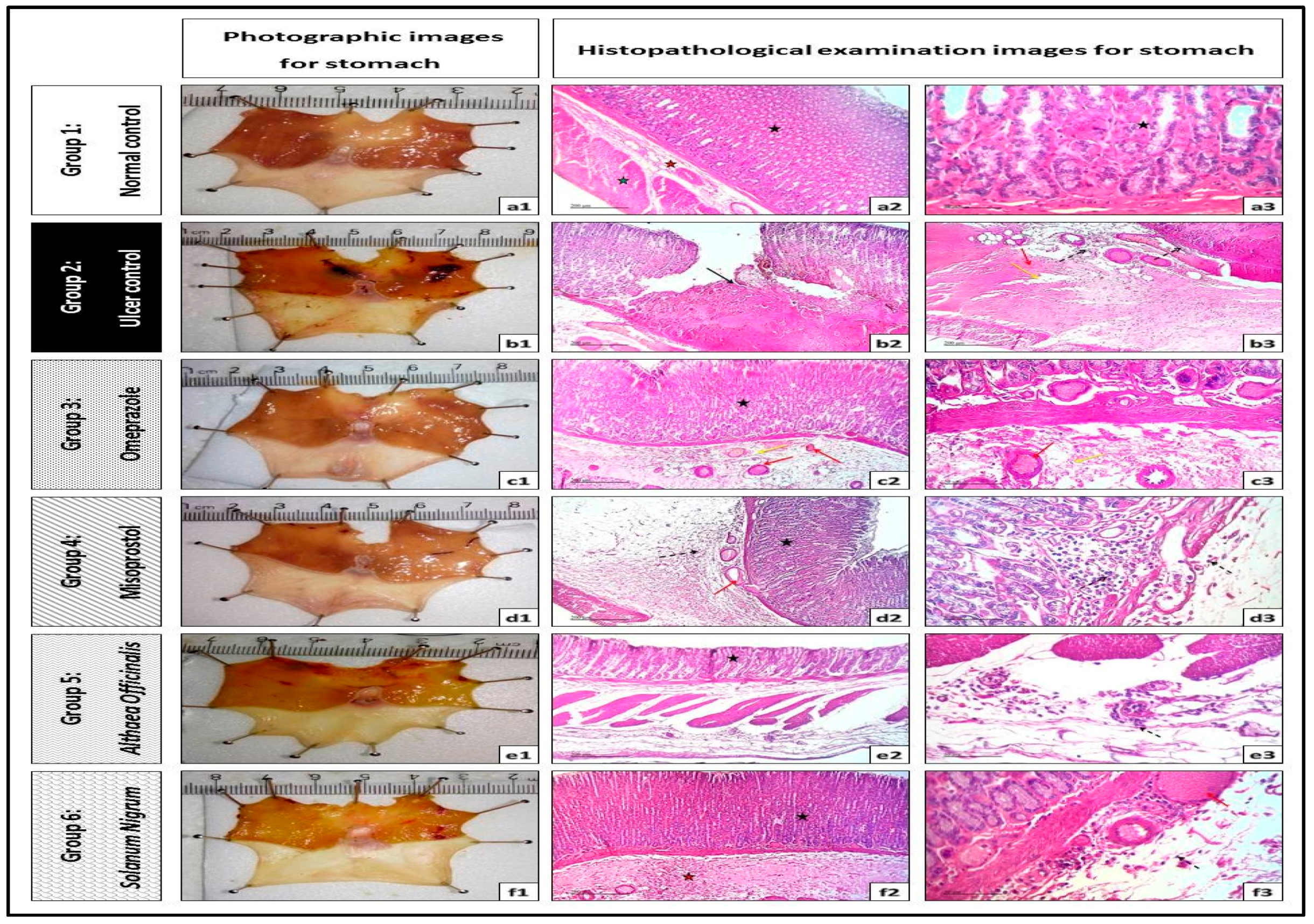Antioxidants 08 00512 g004 Antioxidants 08 00512 g004