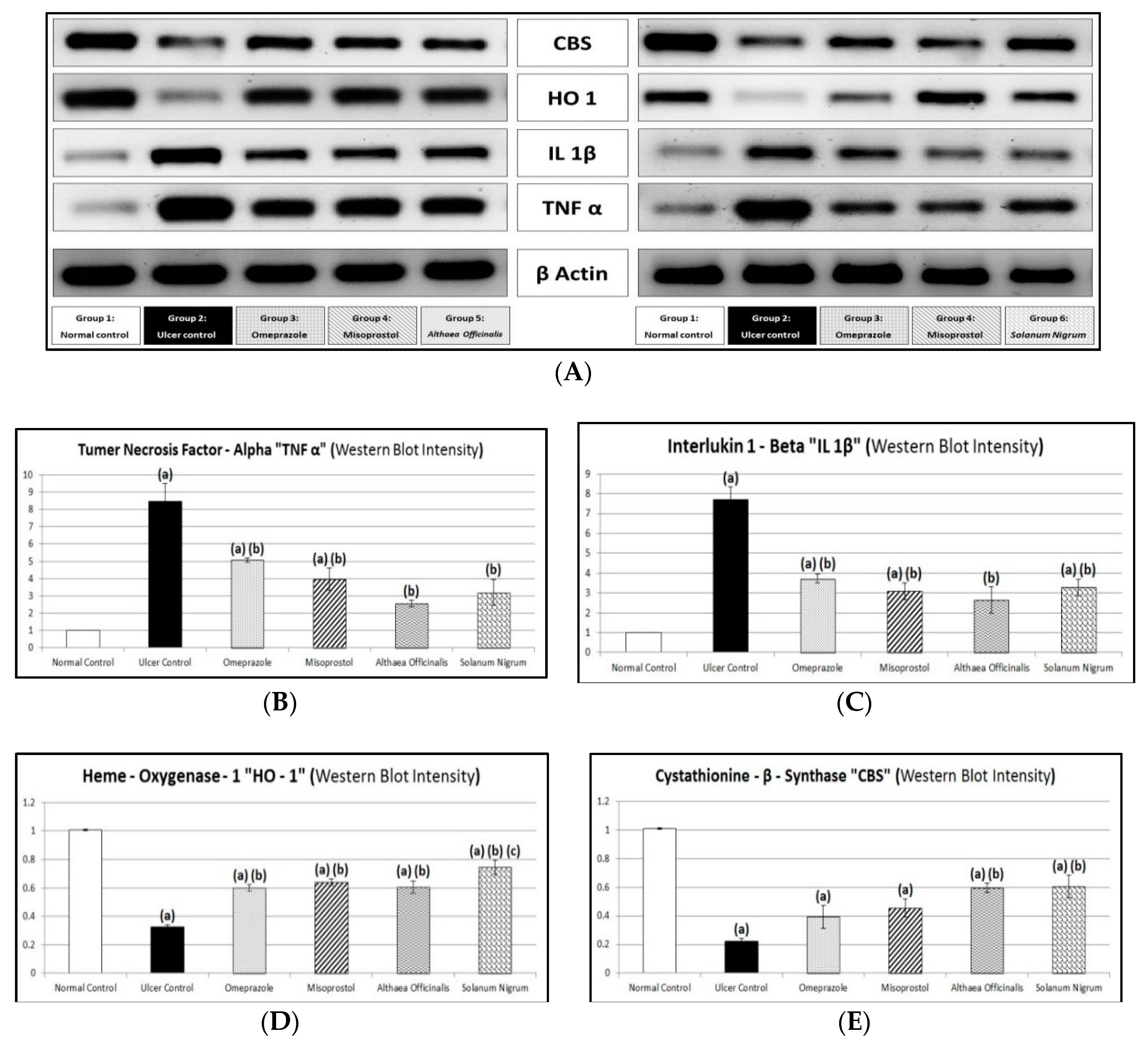 Antioxidants 08 00512 g010 Antioxidants 08 00512 g010