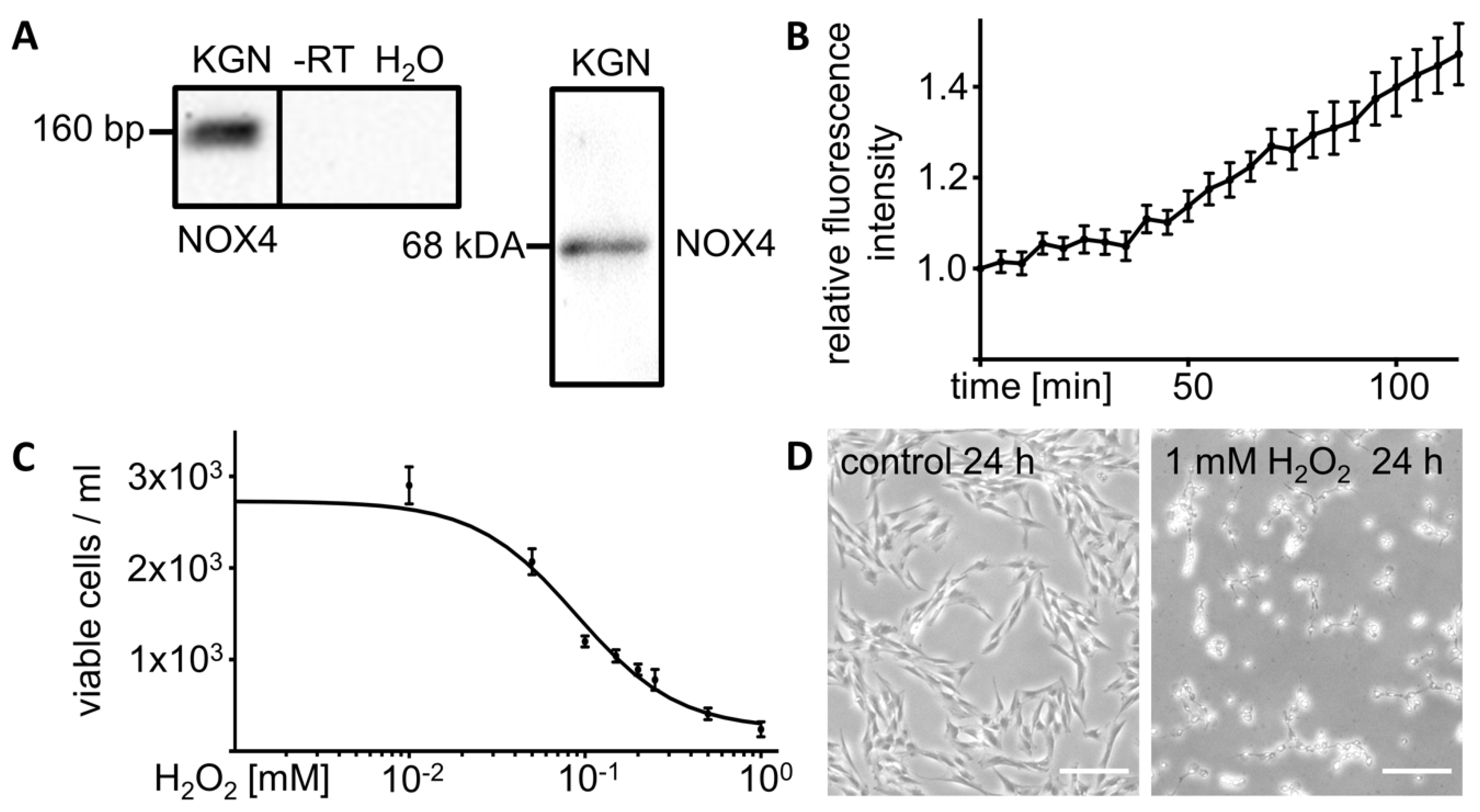 Antioxidants 08 00518 g001