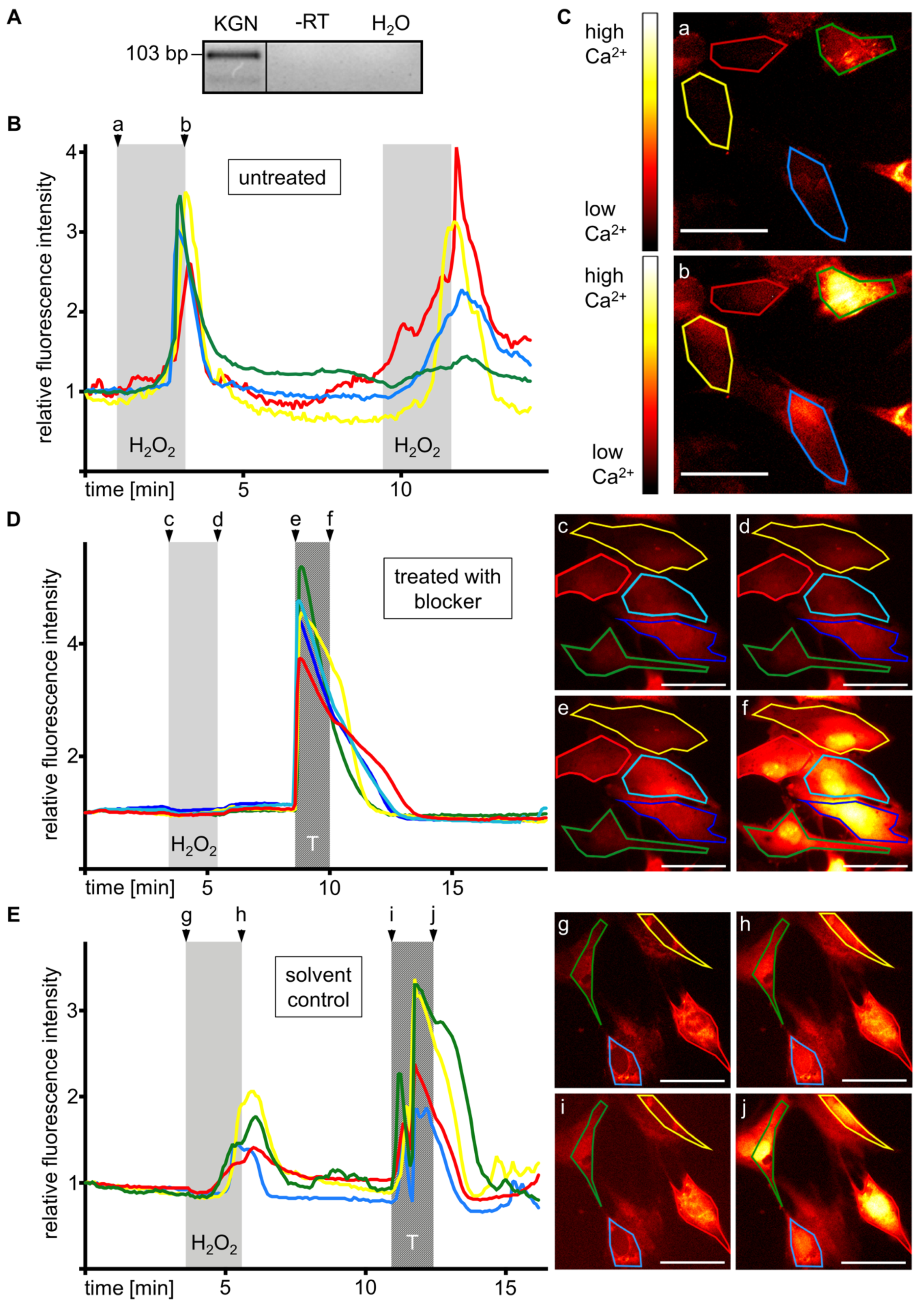 Antioxidants 08 00518 g004