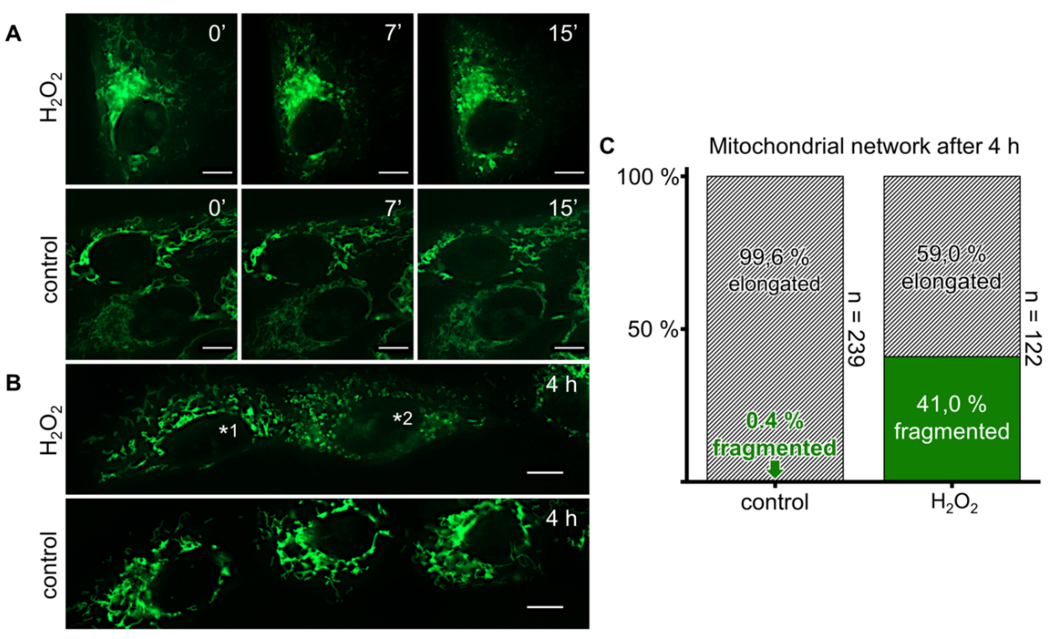 Antioxidants 08 00518 g005