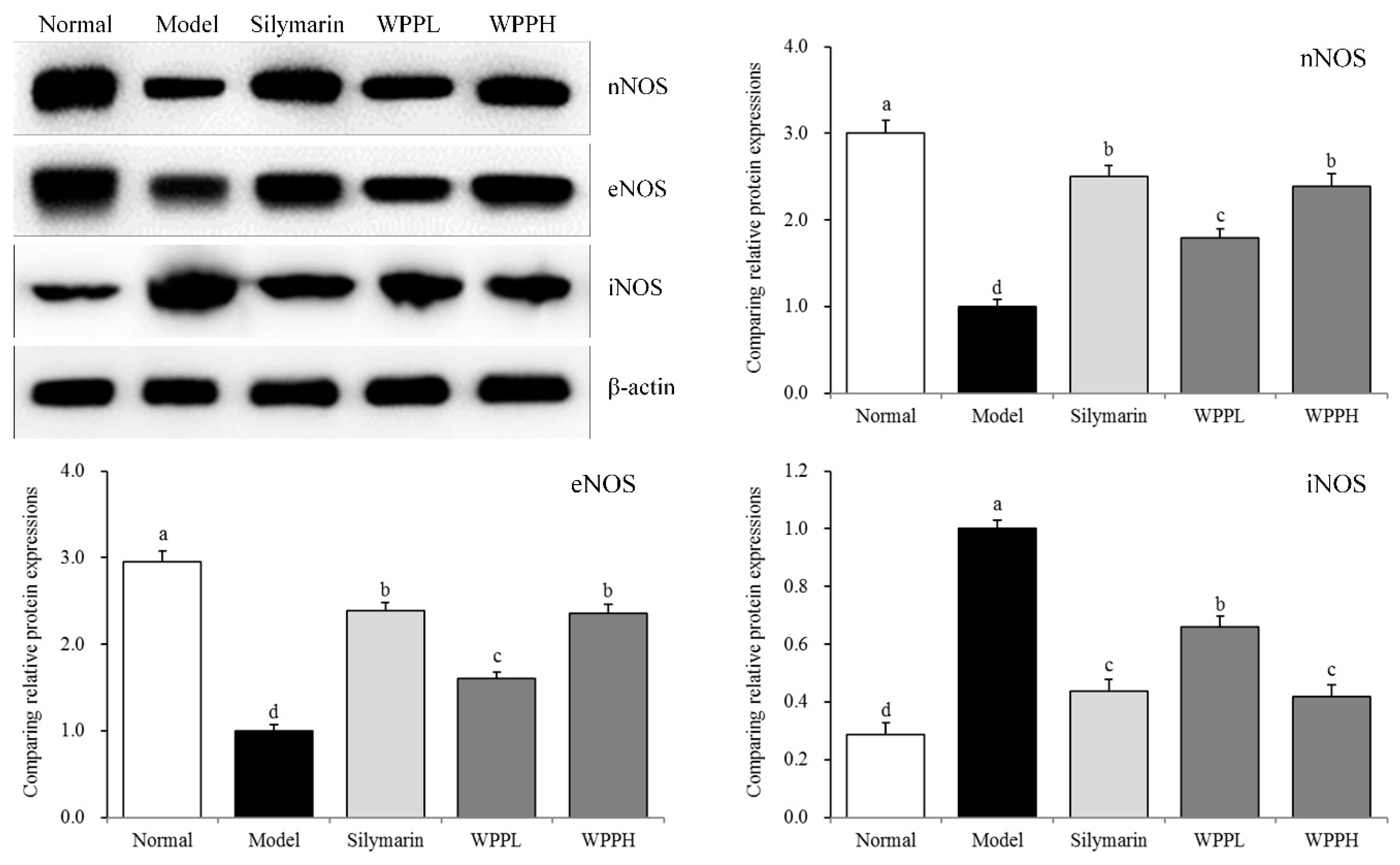 Antioxidants 08 00524 g004 Antioxidants 08 00524 g004