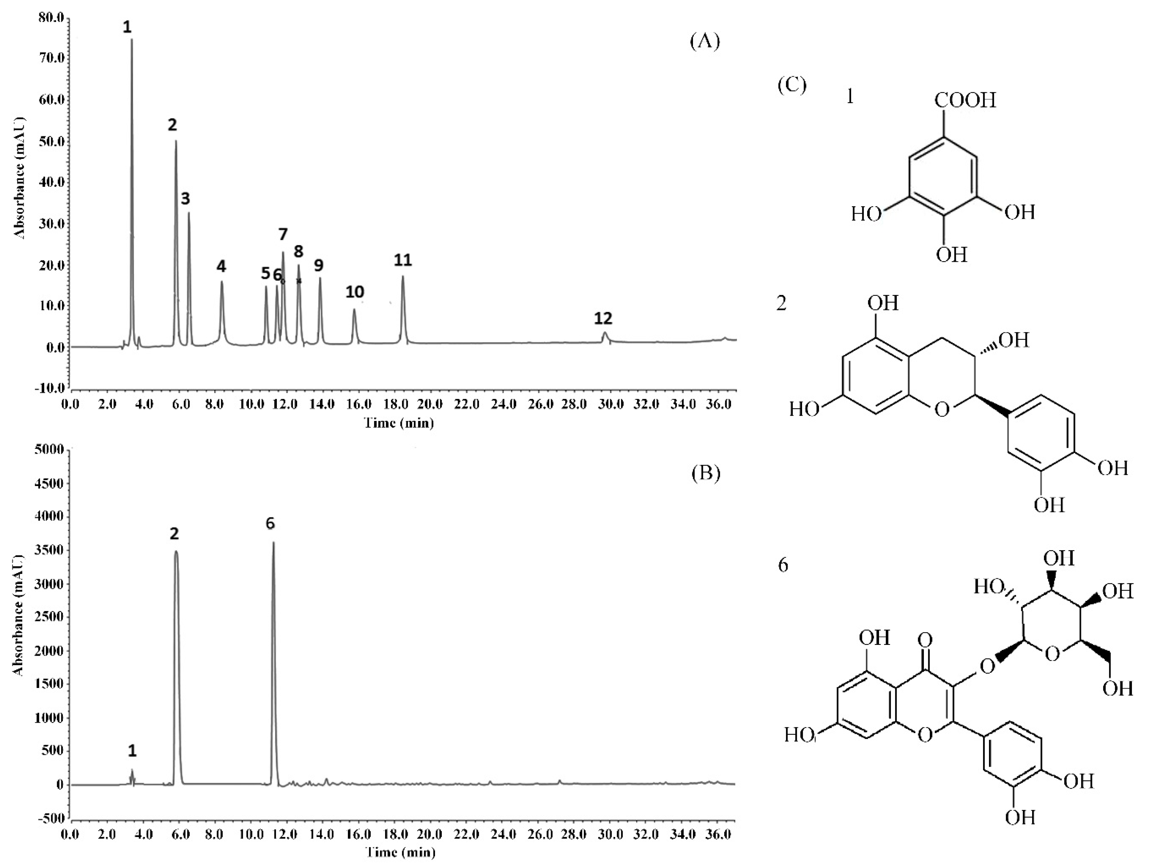 Antioxidants 08 00524 g006 Antioxidants 08 00524 g006