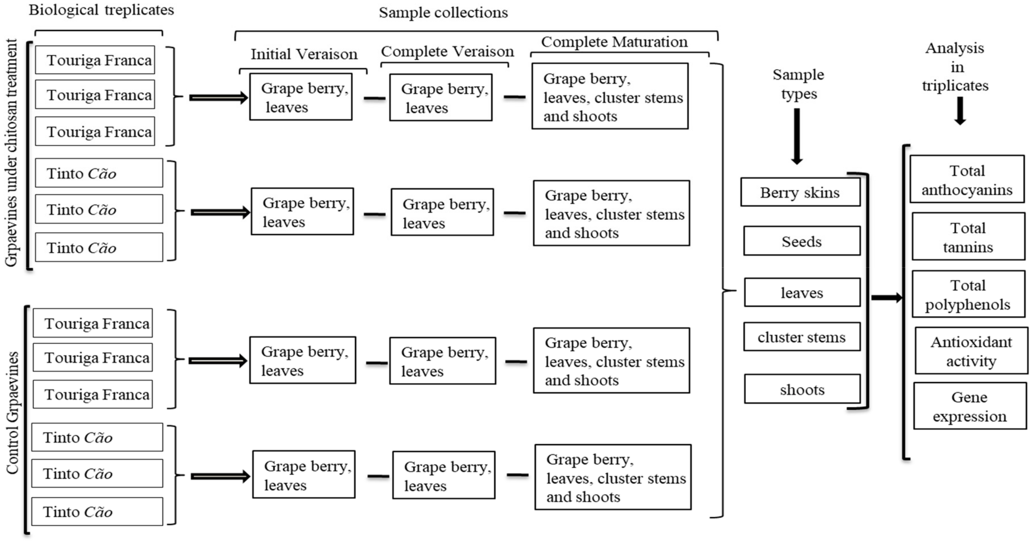 Antioxidants 08 00525 g001