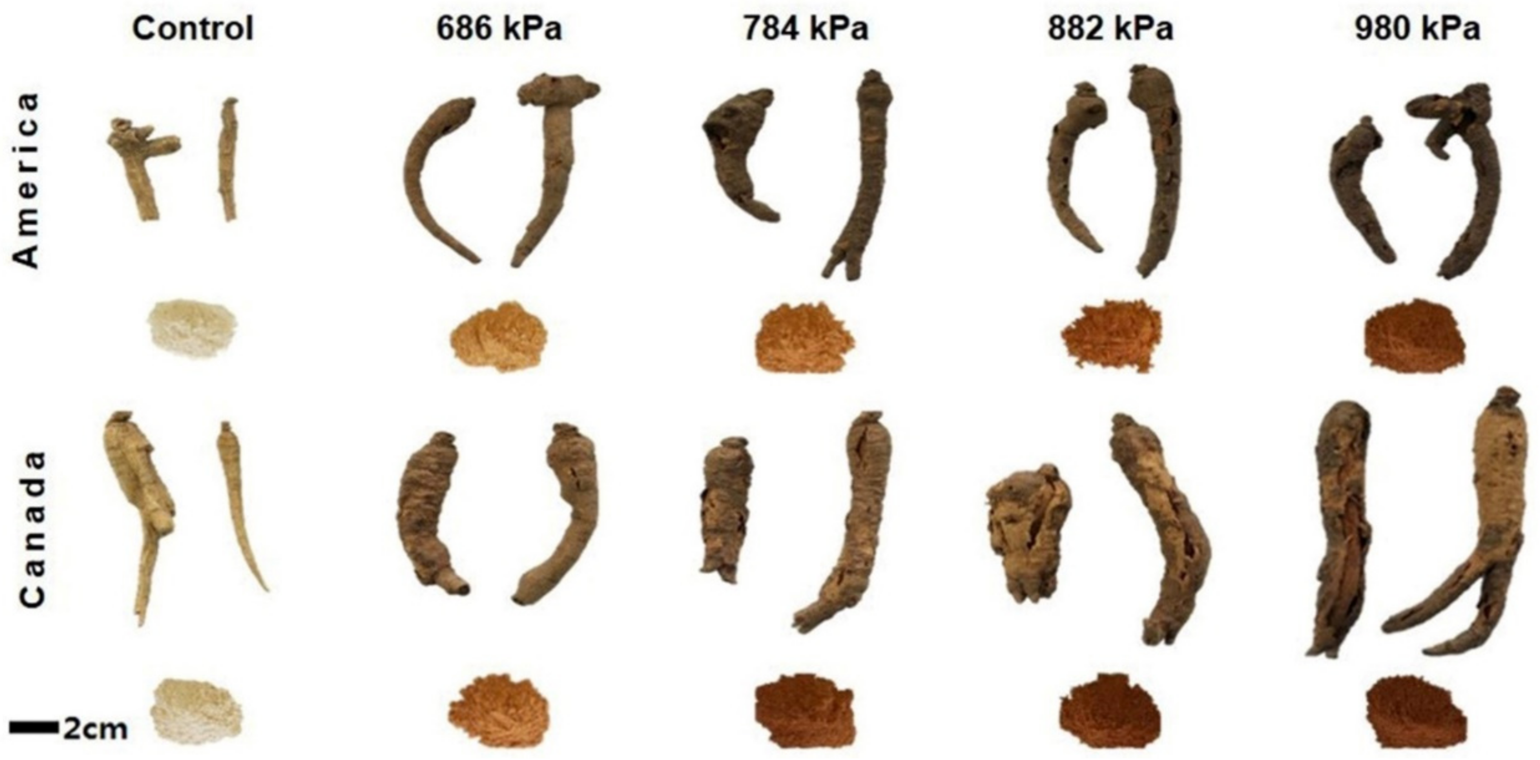 Antioxidants 08 00527 g001
