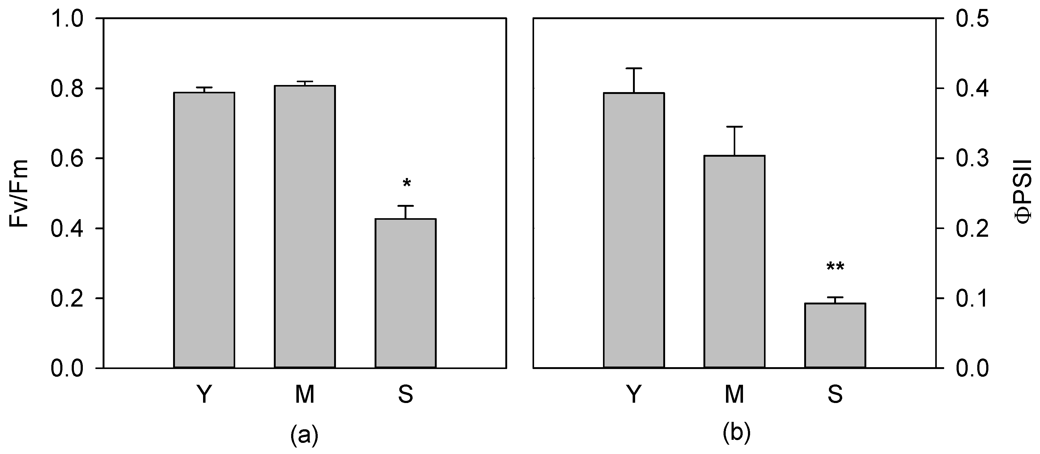 Antioxidants 08 00528 g001