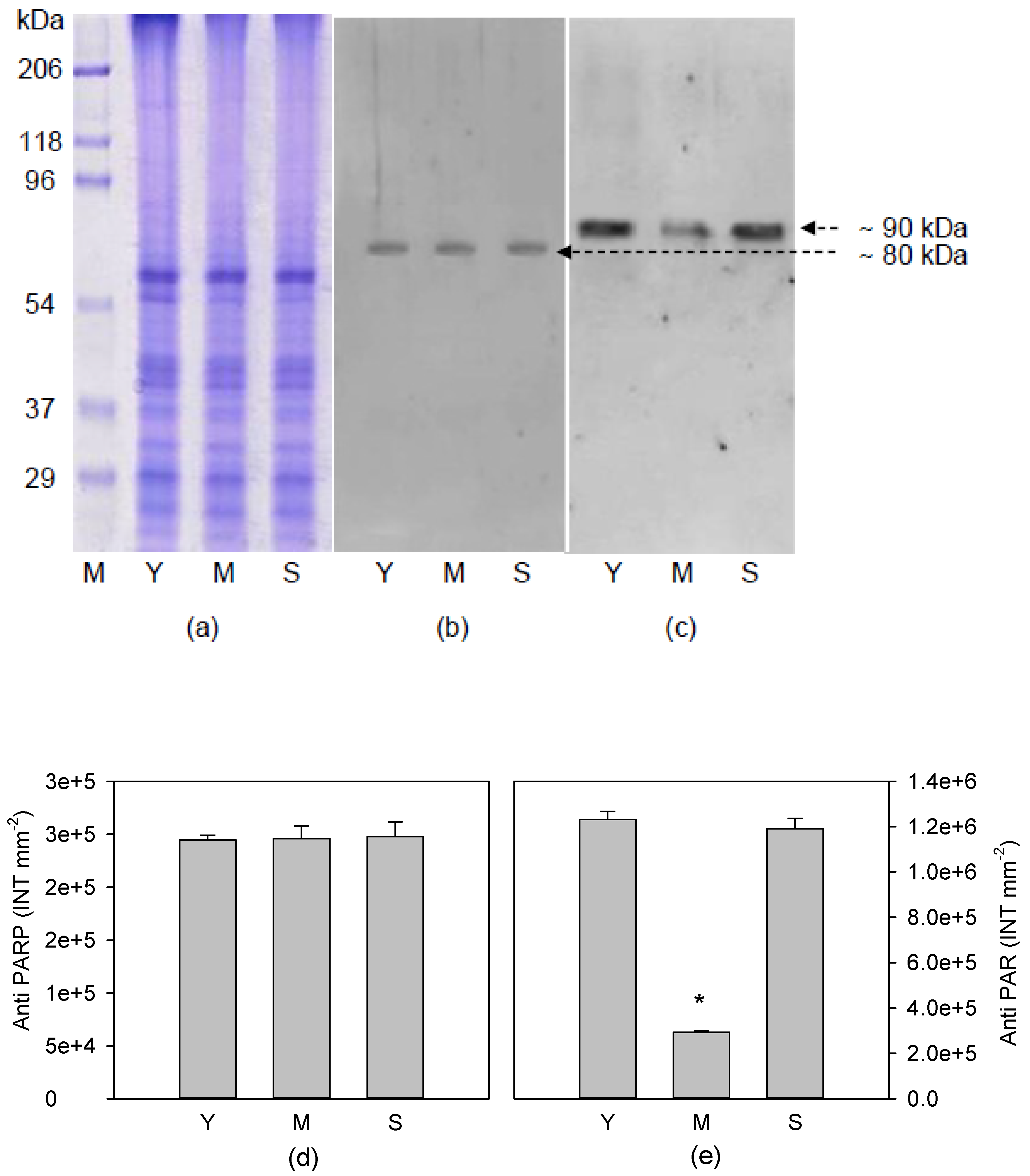 Antioxidants 08 00528 g003