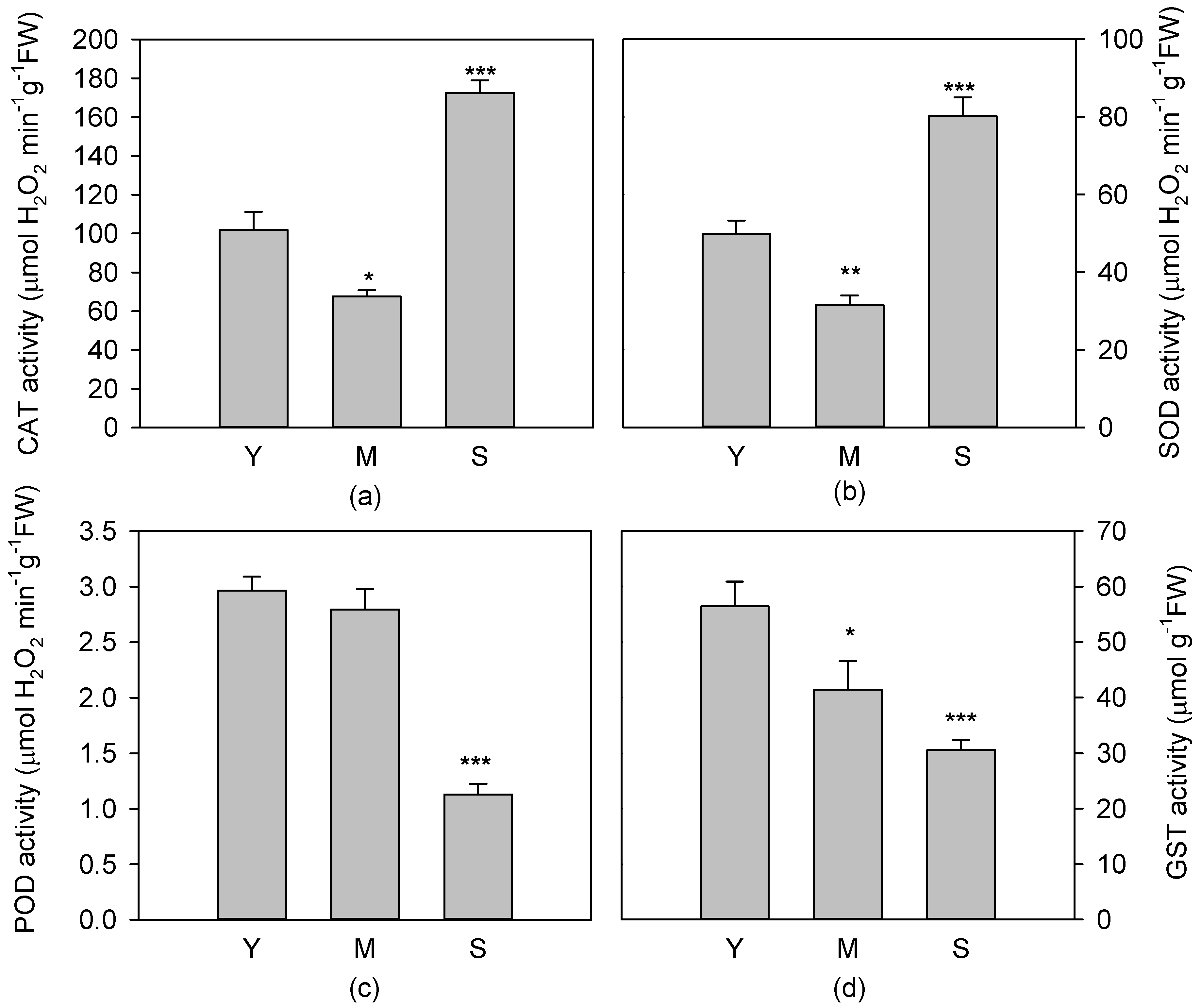 Antioxidants 08 00528 g005