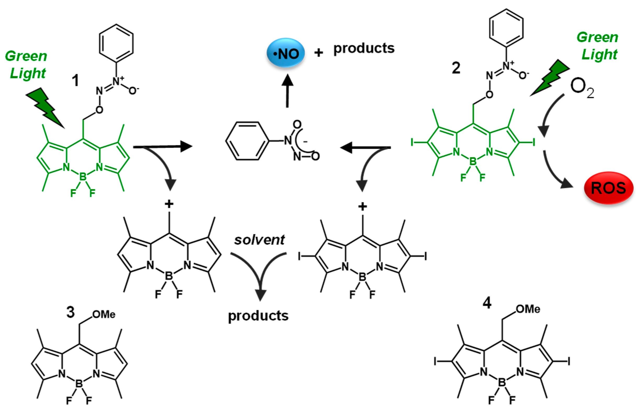 Antioxidants 08 00531 sch001