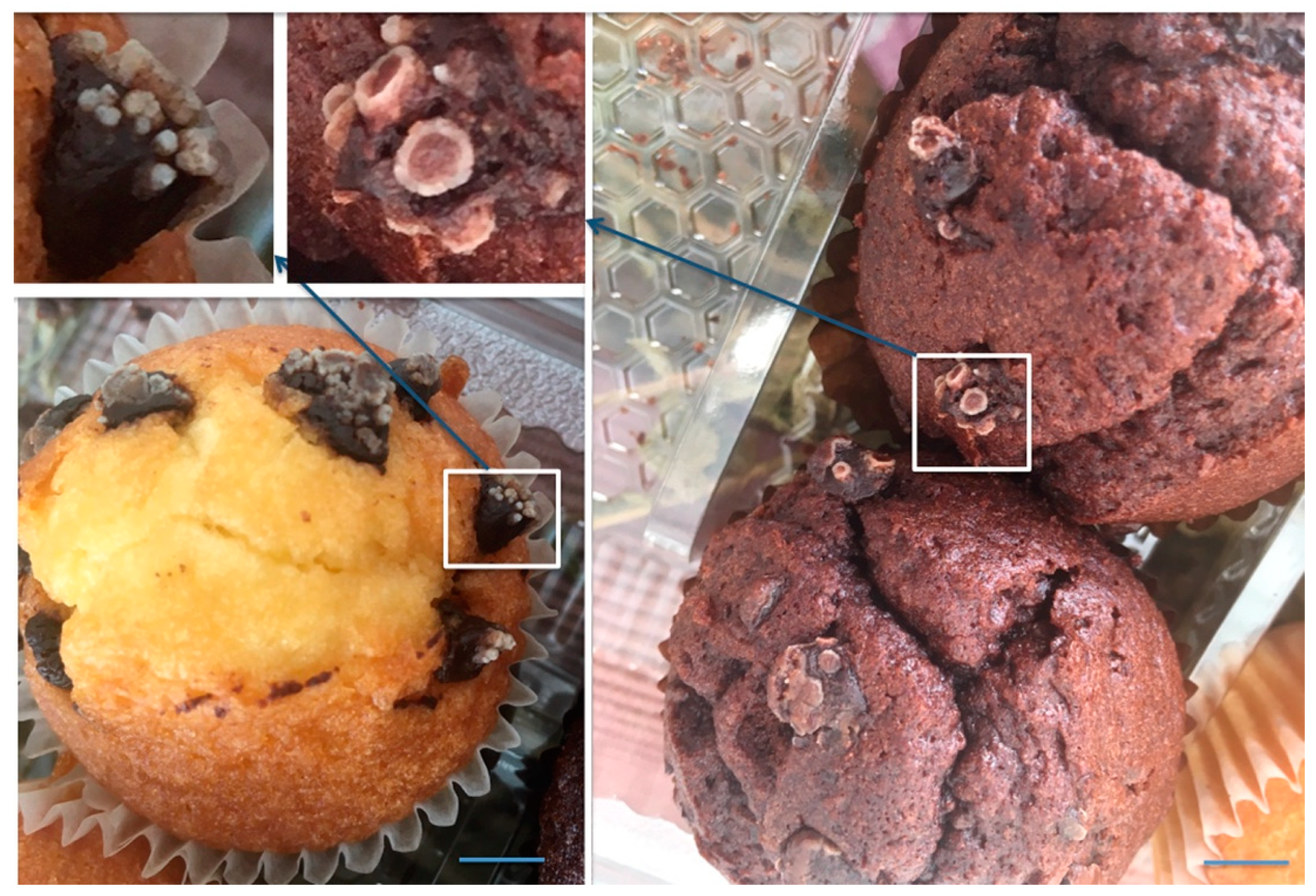 Antioxidants 08 00542 g001