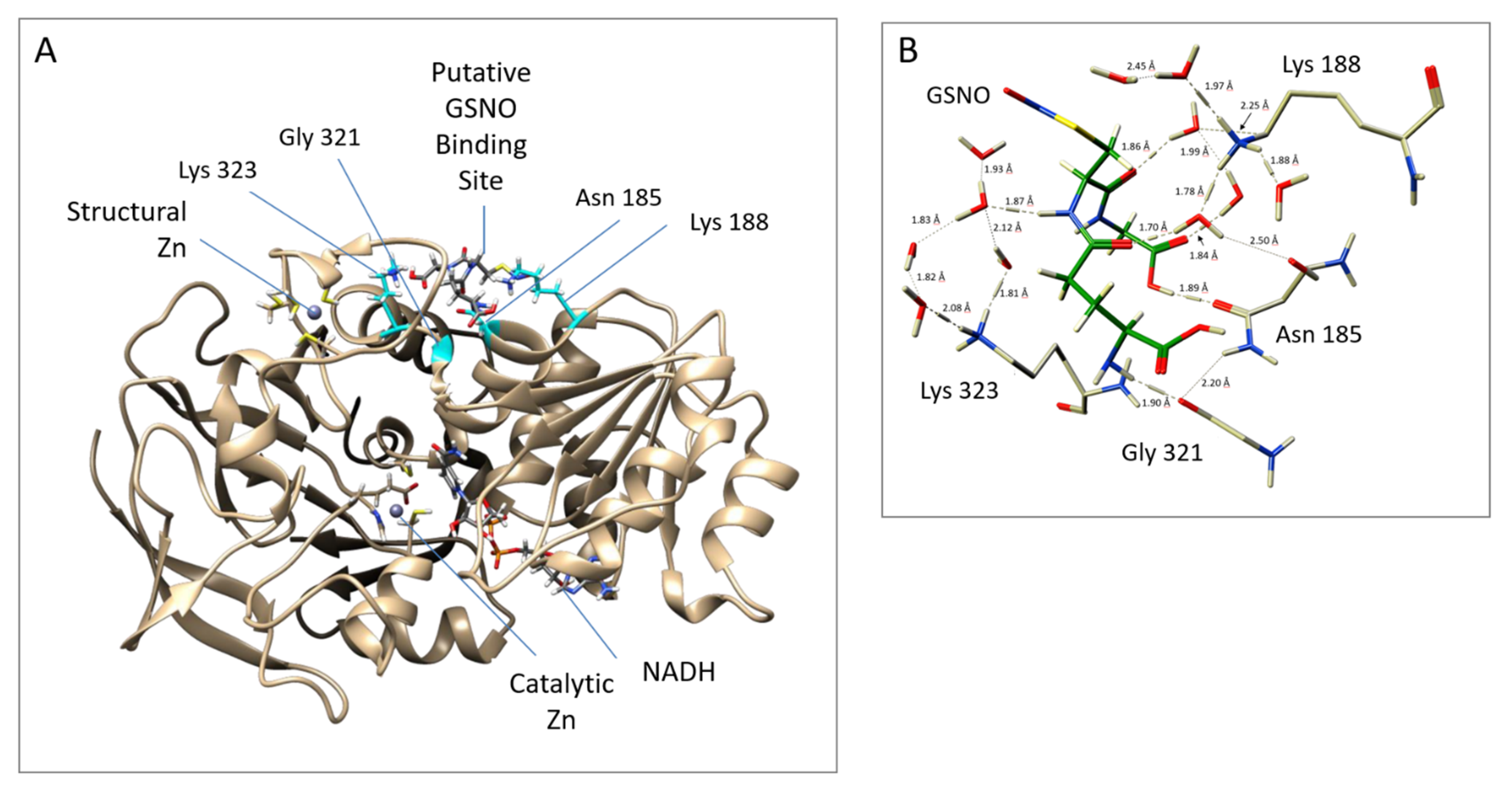 Antioxidants 08 00545 g002