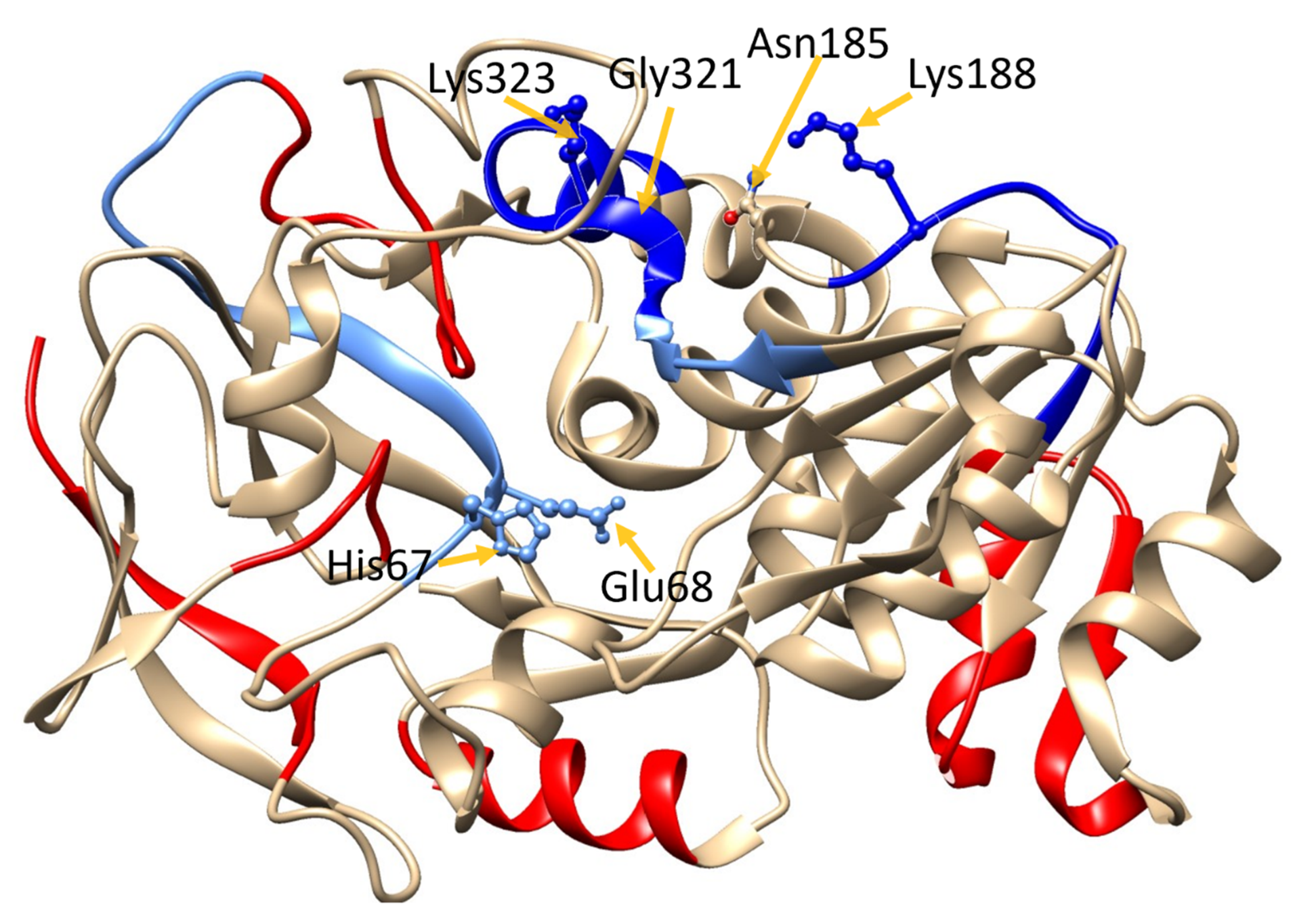 Antioxidants 08 00545 g003