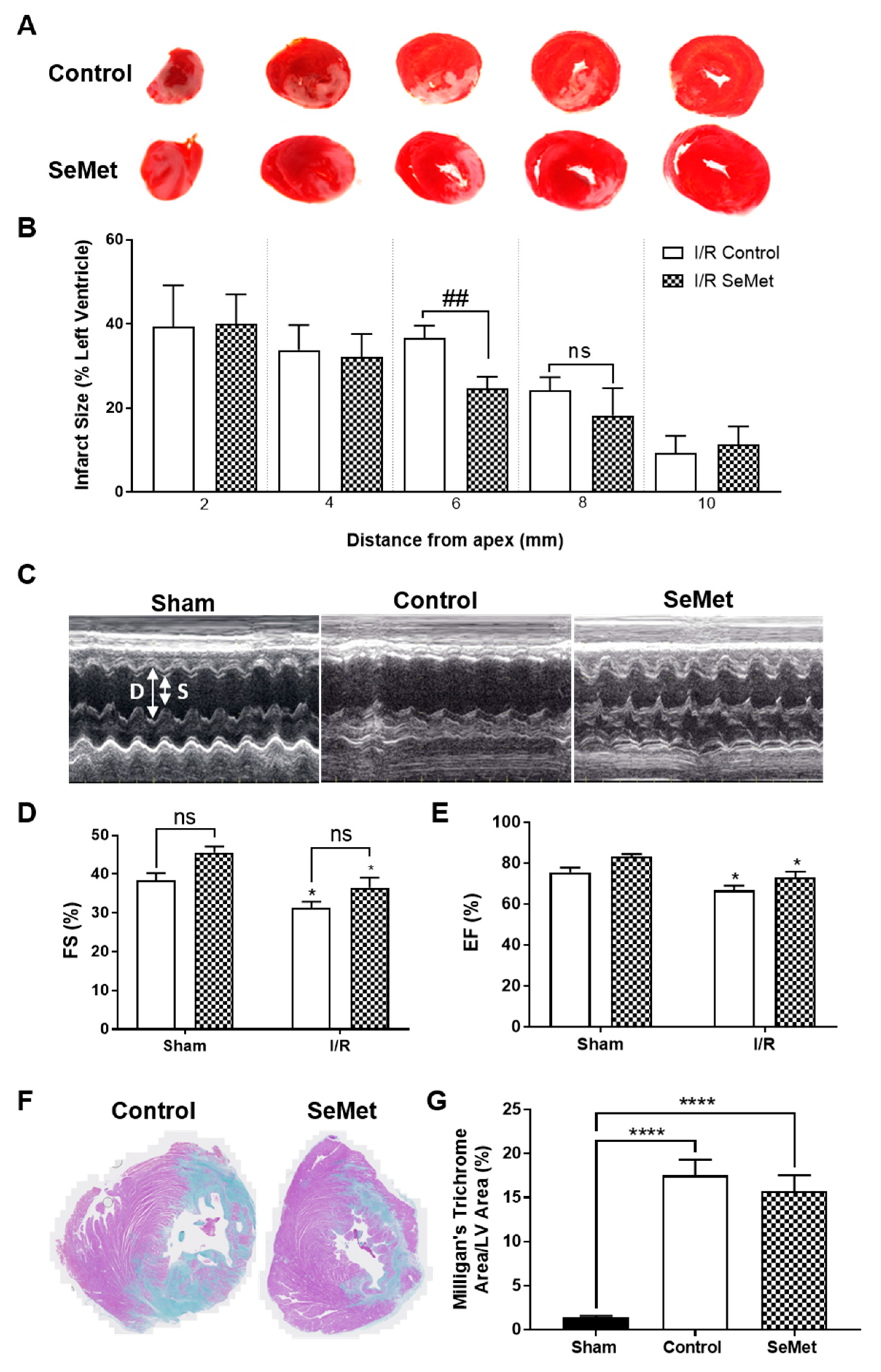 Antioxidants 08 00546 g004