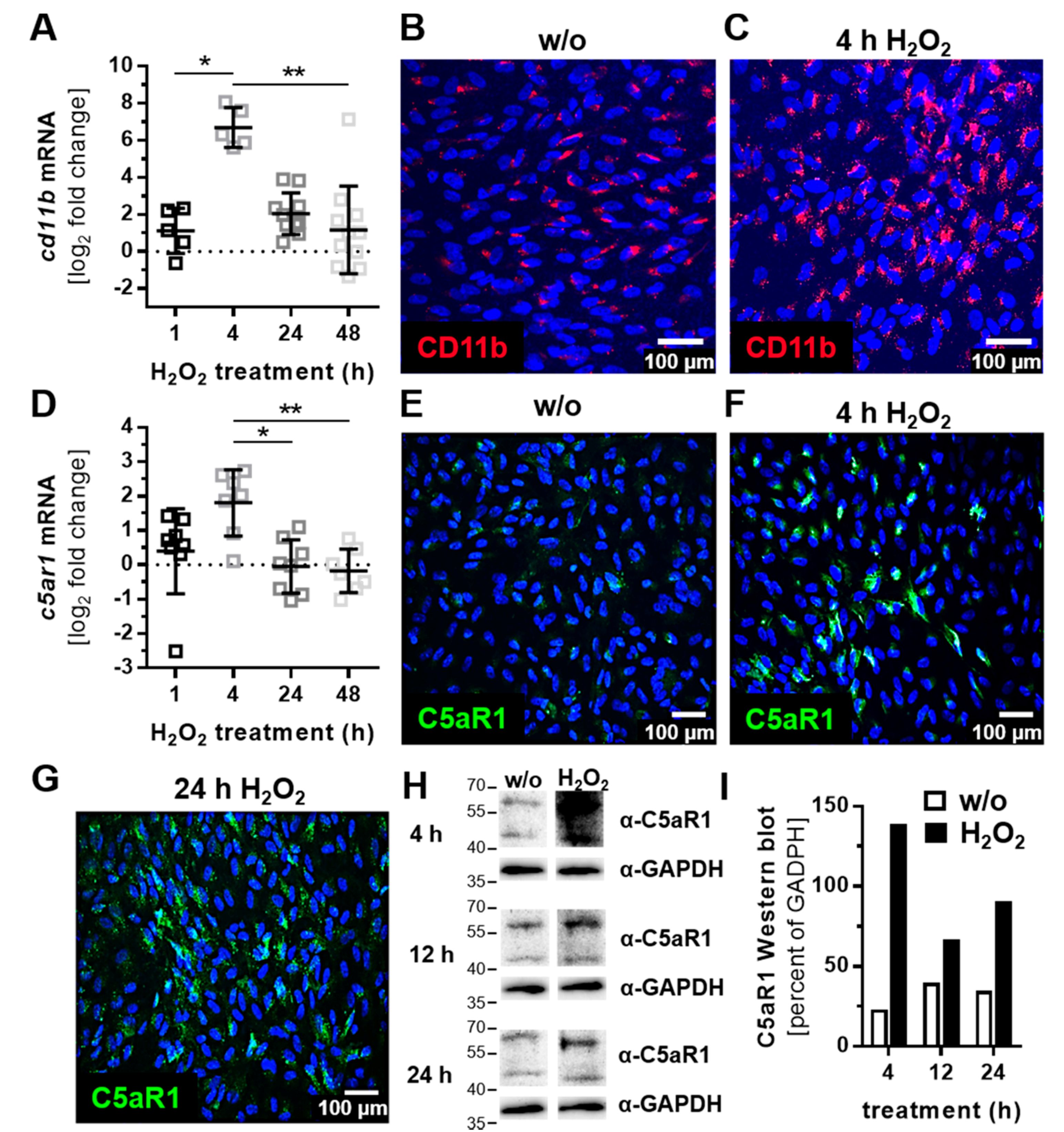 Antioxidants 08 00548 g002