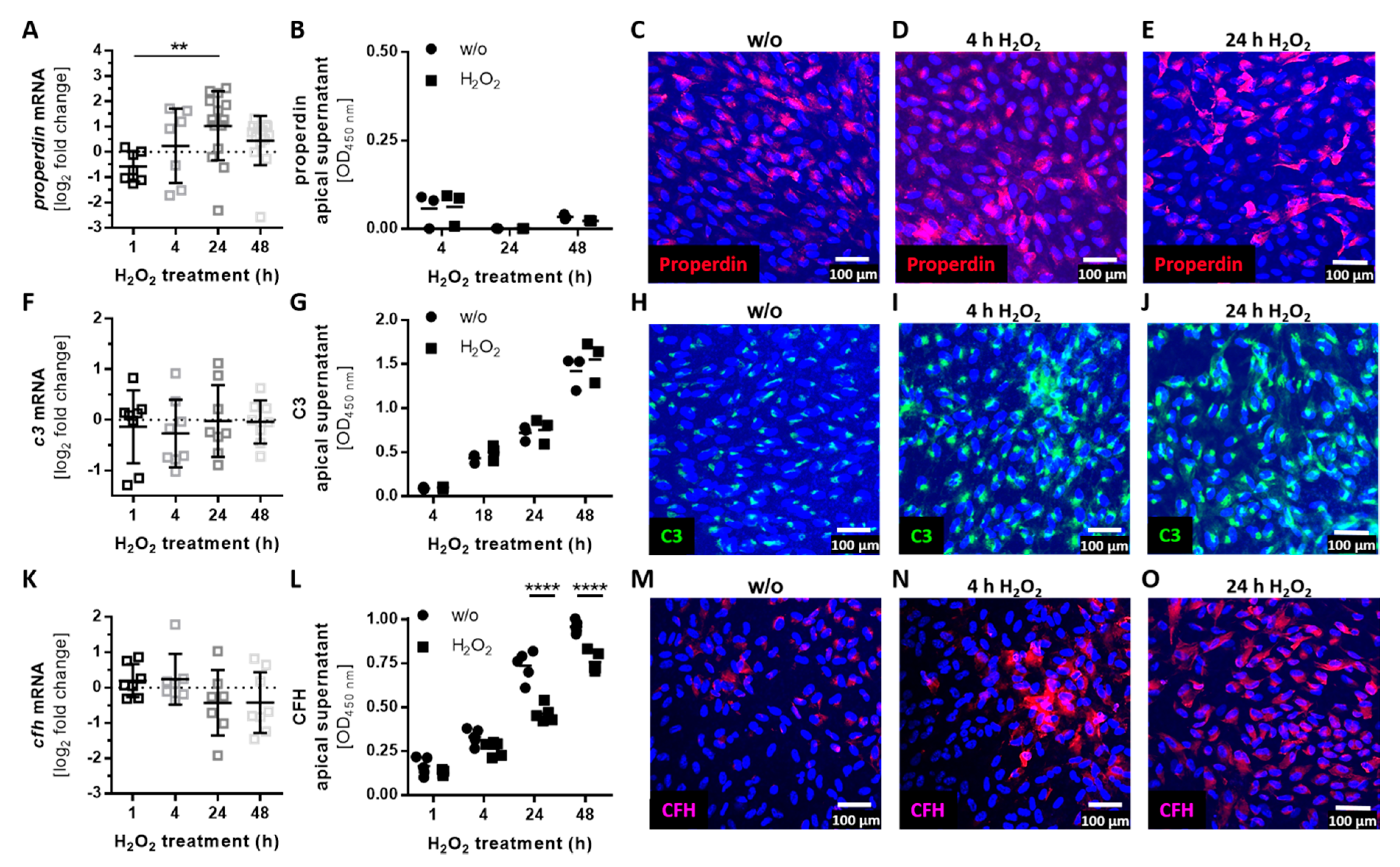 Antioxidants 08 00548 g003