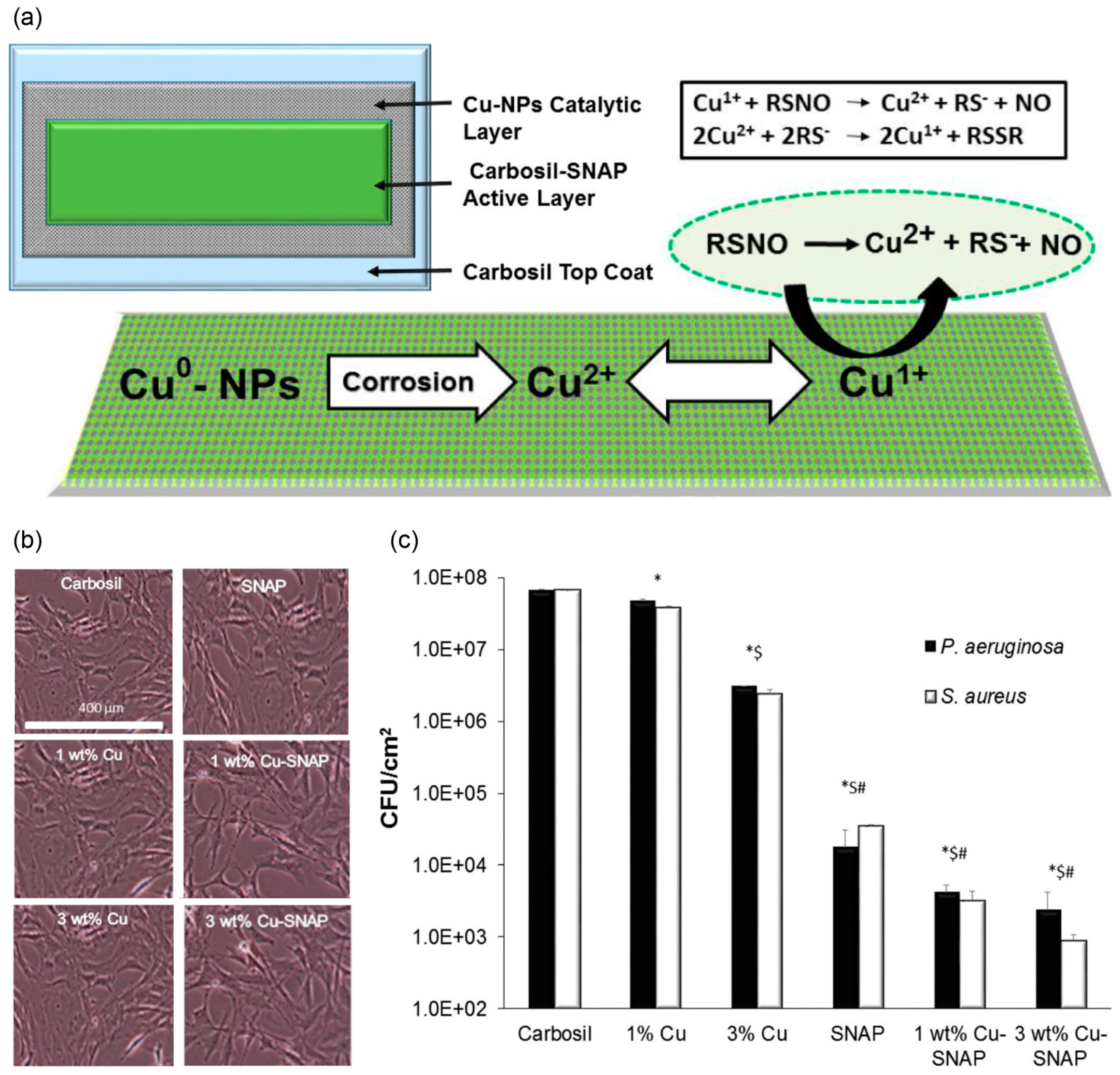 Antioxidants 08 00556 g005