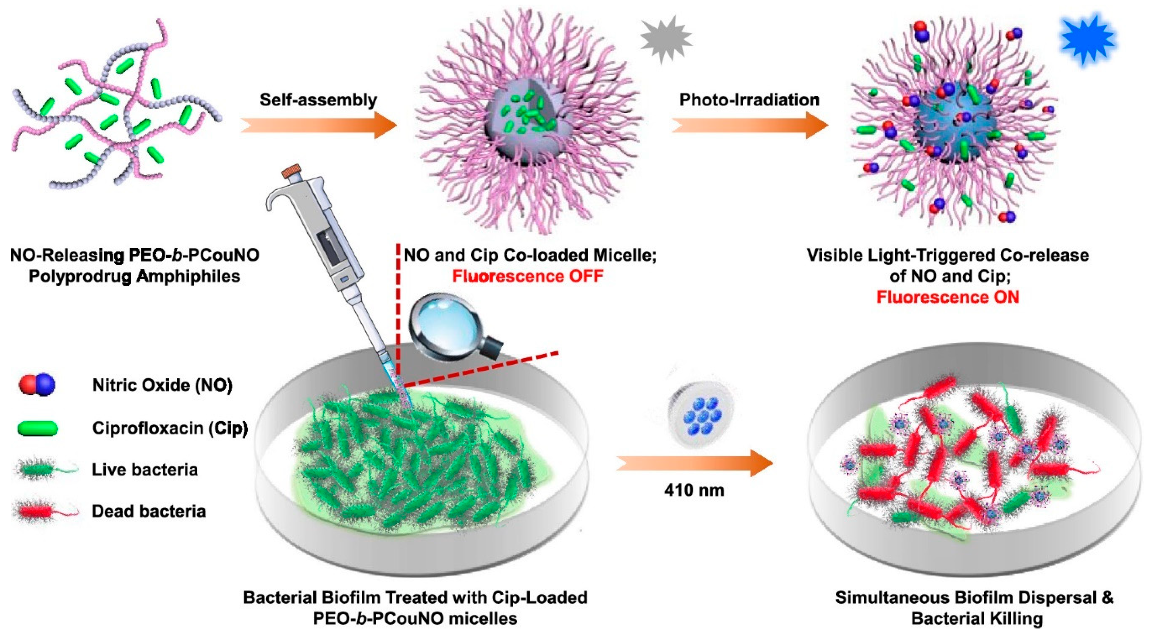 Antioxidants 08 00556 g009