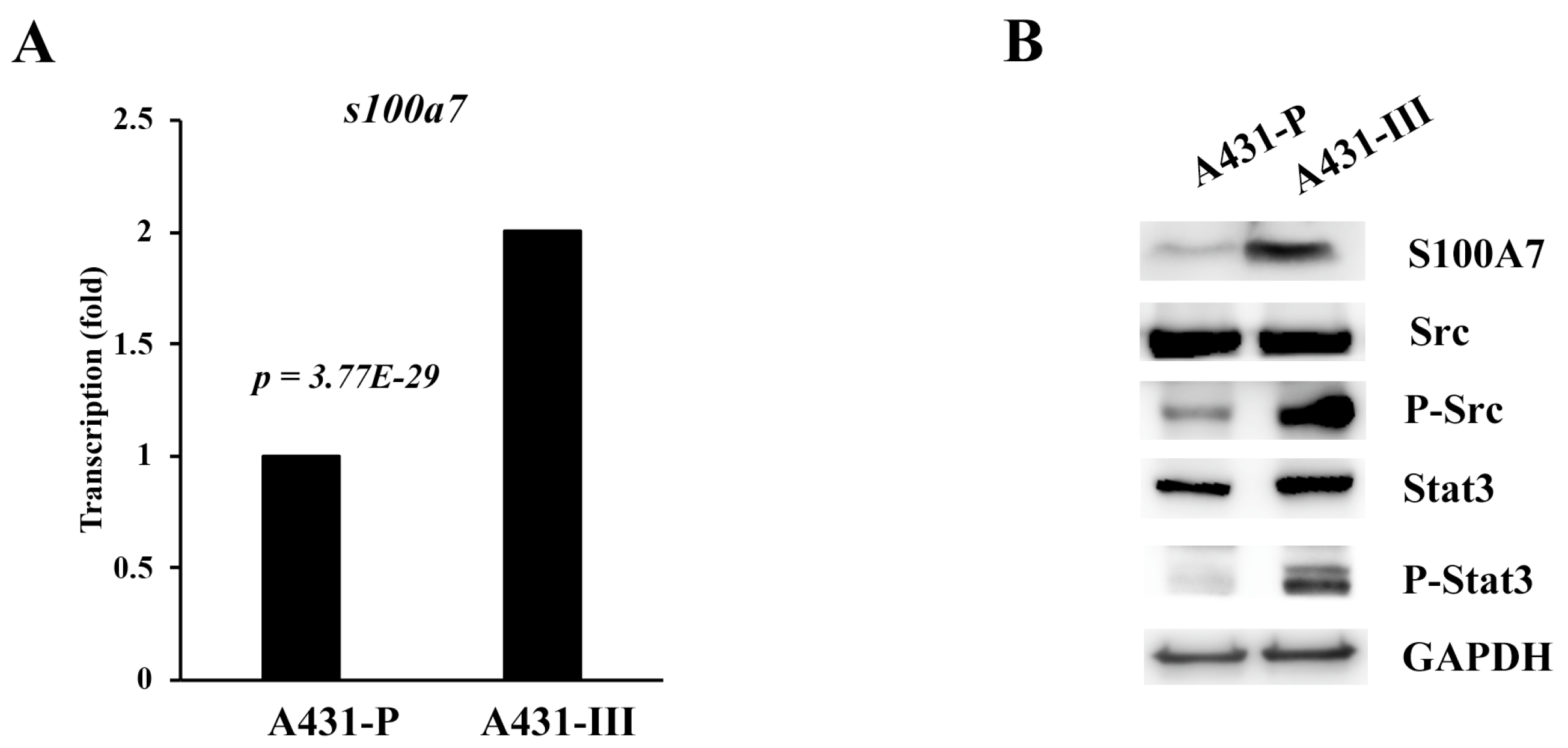 Antioxidants 08 00557 g001