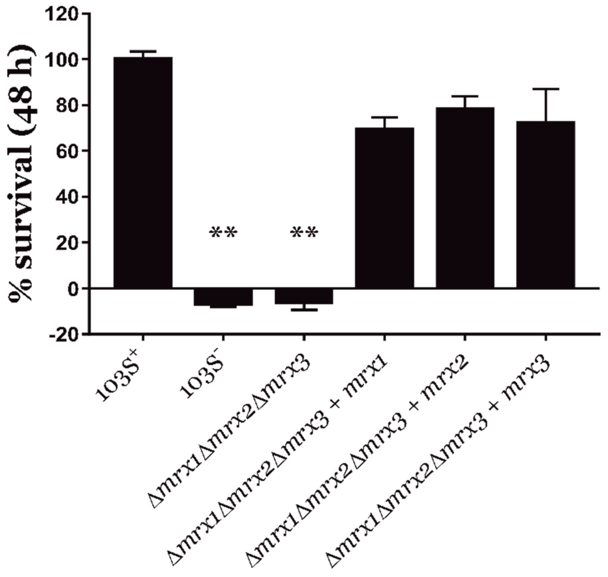 Antioxidants 08 00558 g001