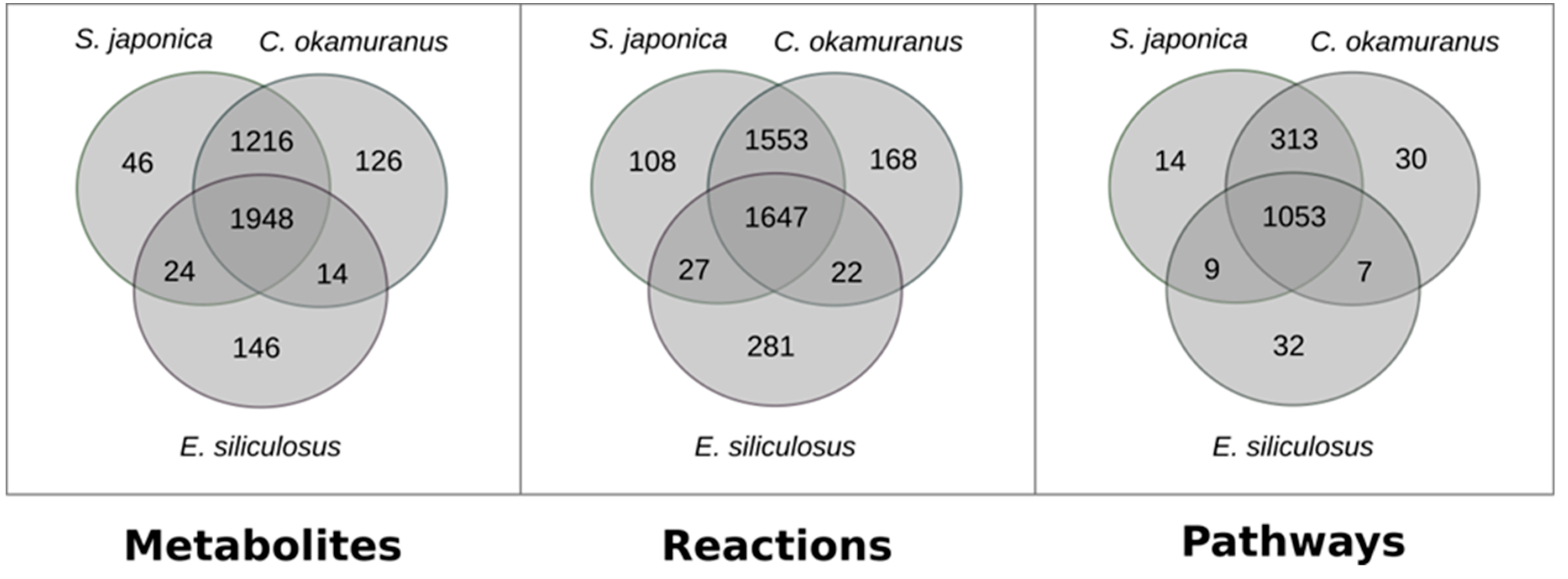 Antioxidants 08 00564 g001