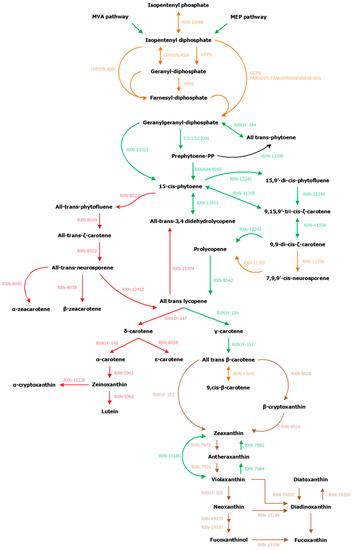 Antioxidants 08 00564 g0a1