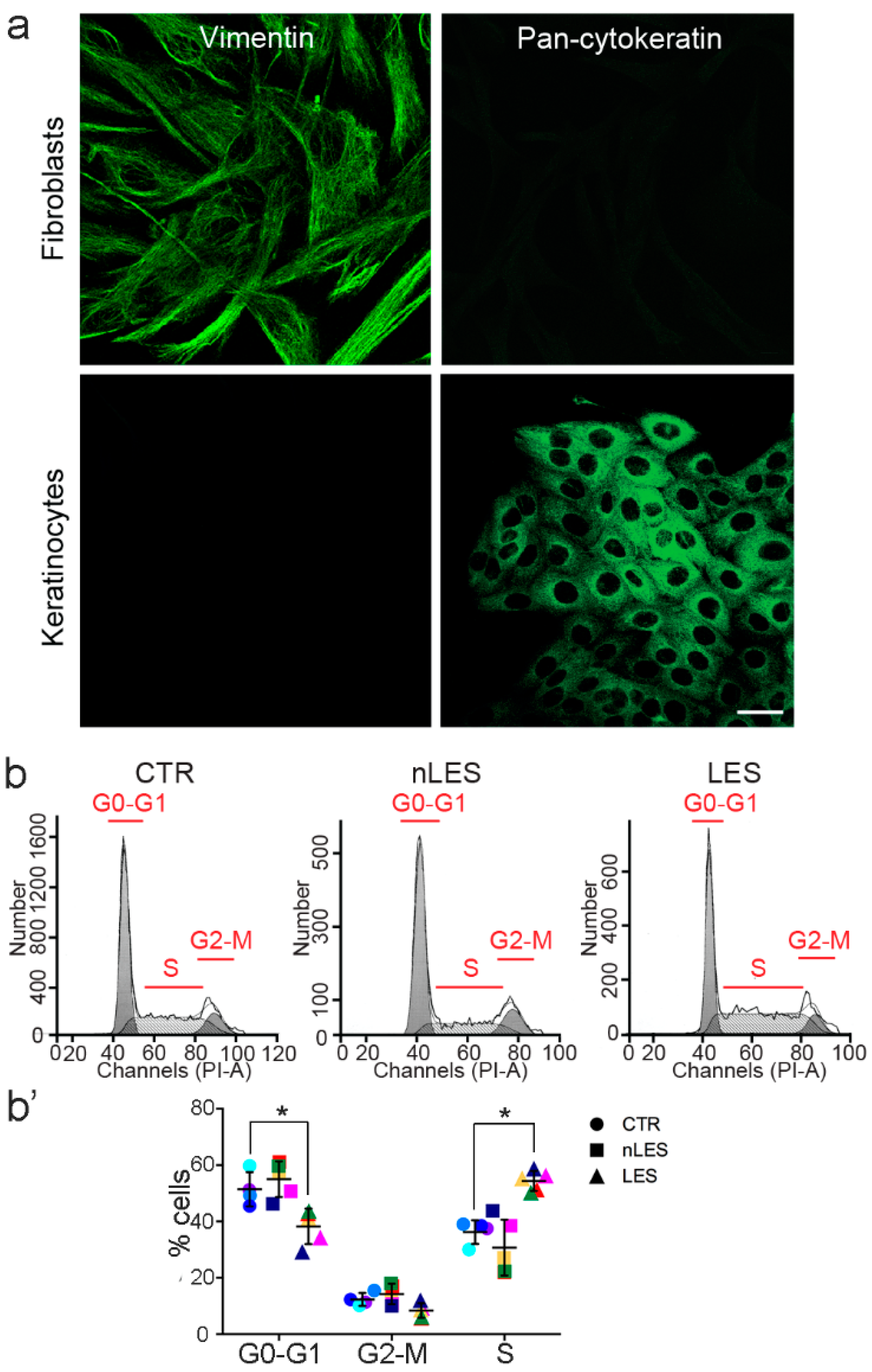 Antioxidants 08 00566 g002