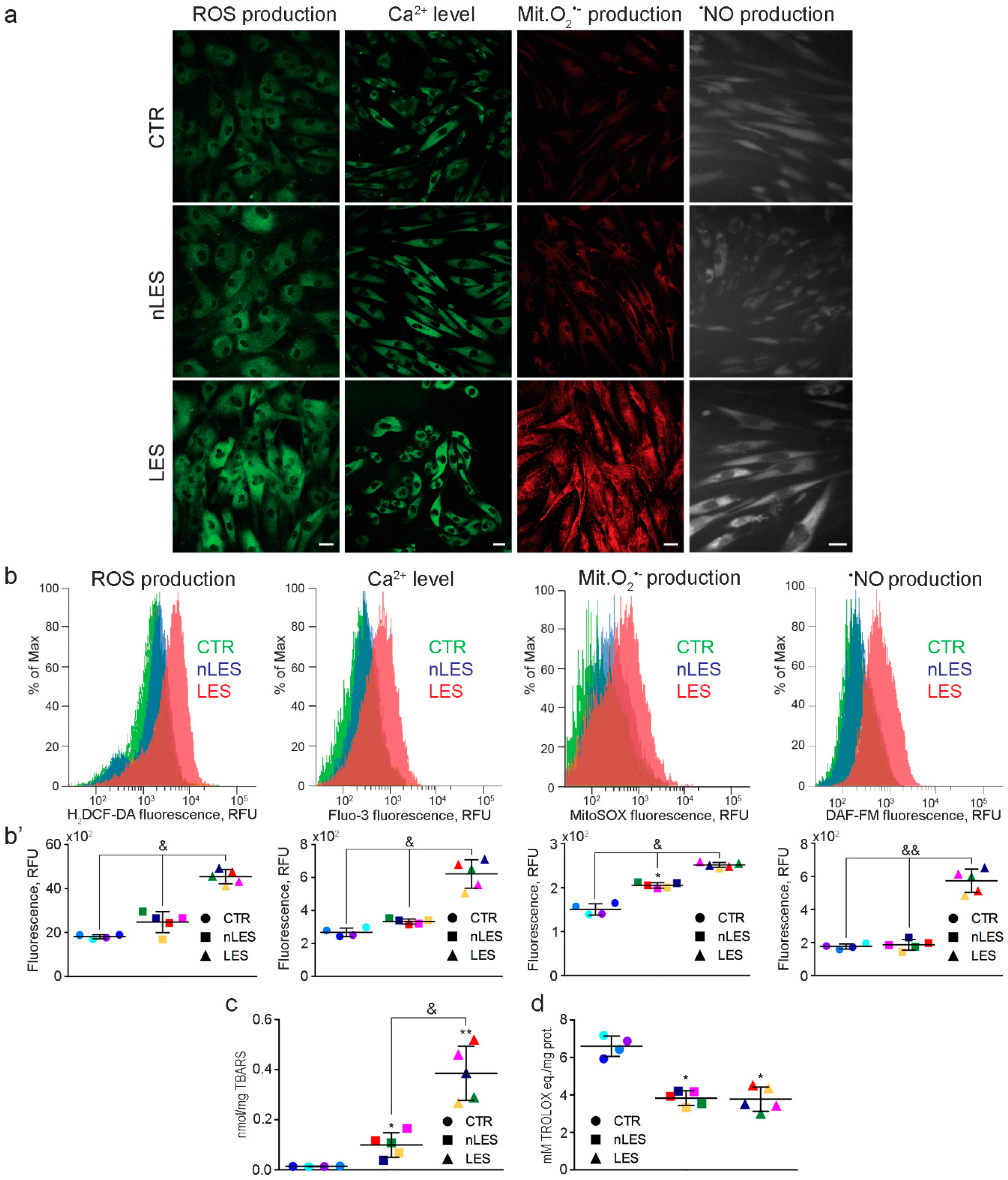 Antioxidants 08 00566 g003