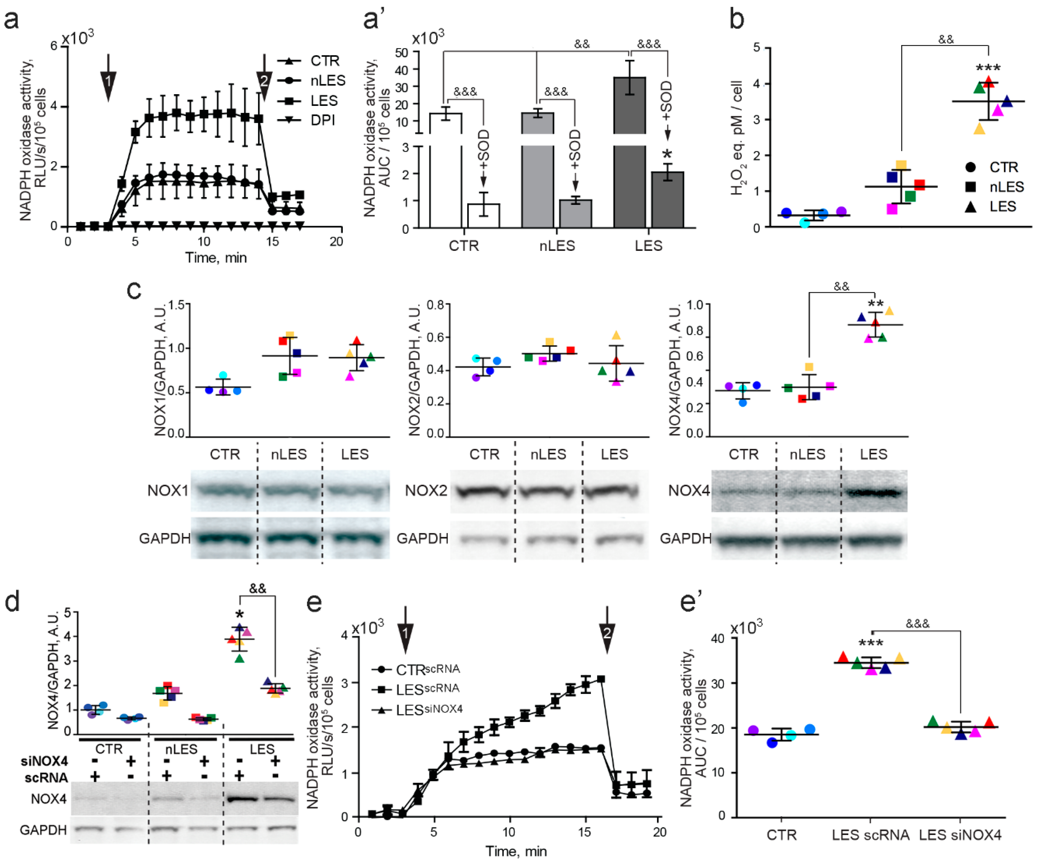Antioxidants 08 00566 g004