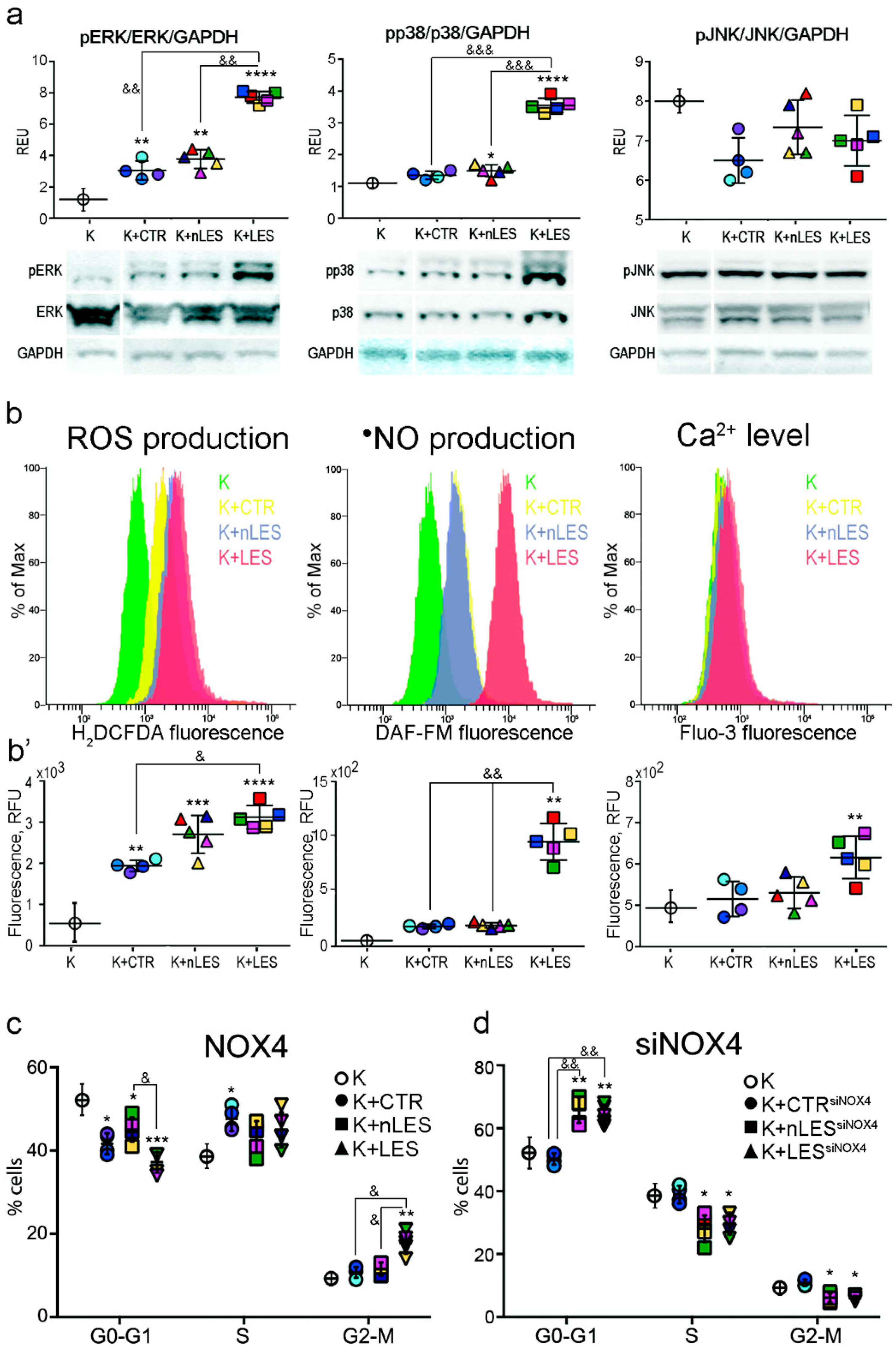 Antioxidants 08 00566 g005
