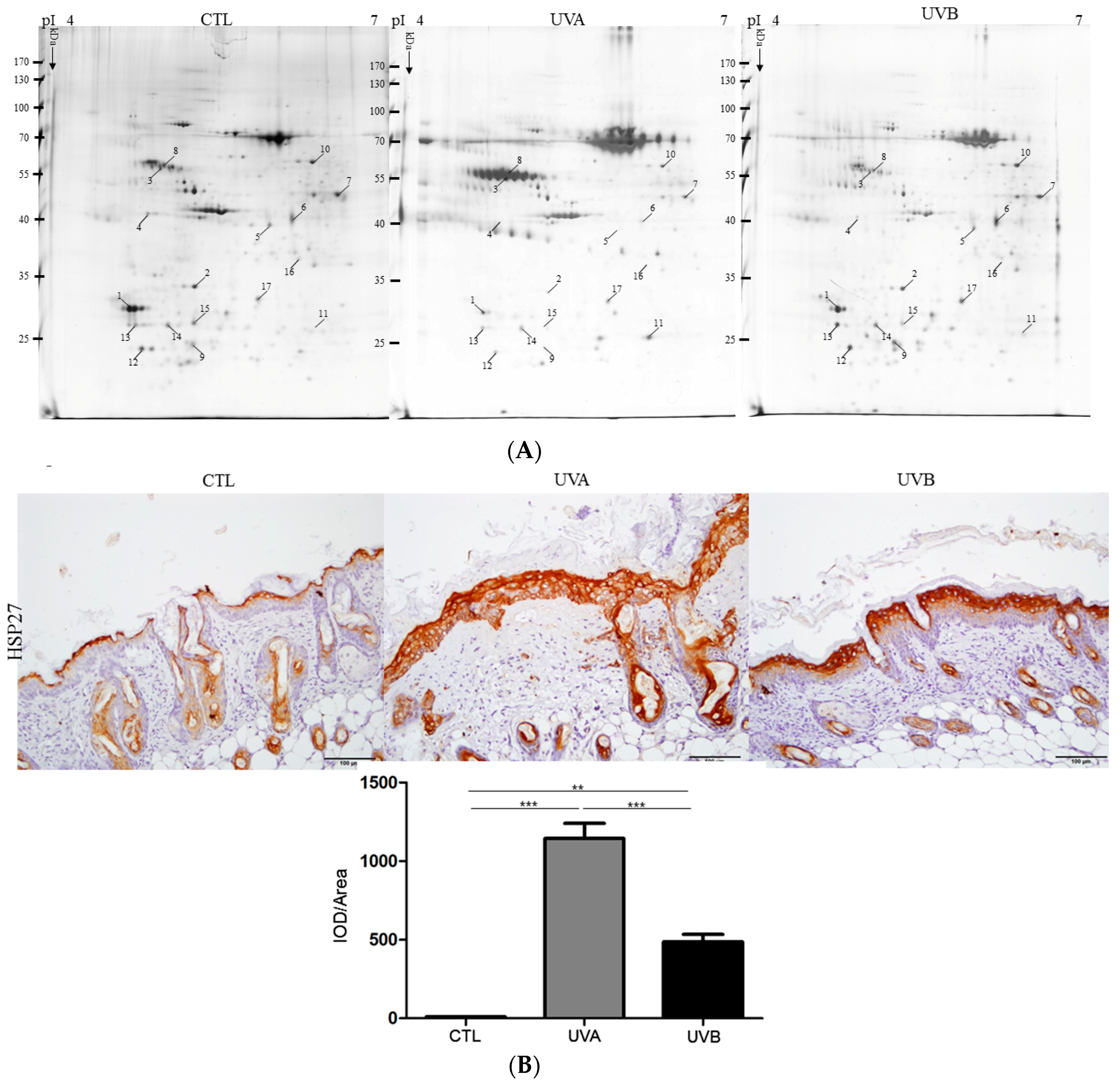 Antioxidants 08 00569 g005a