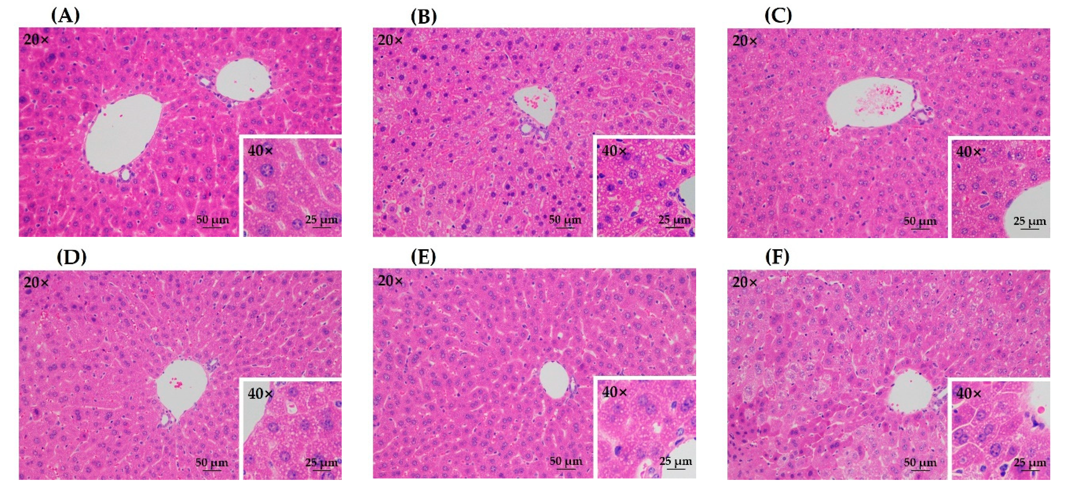 Antioxidants 08 00572 g005