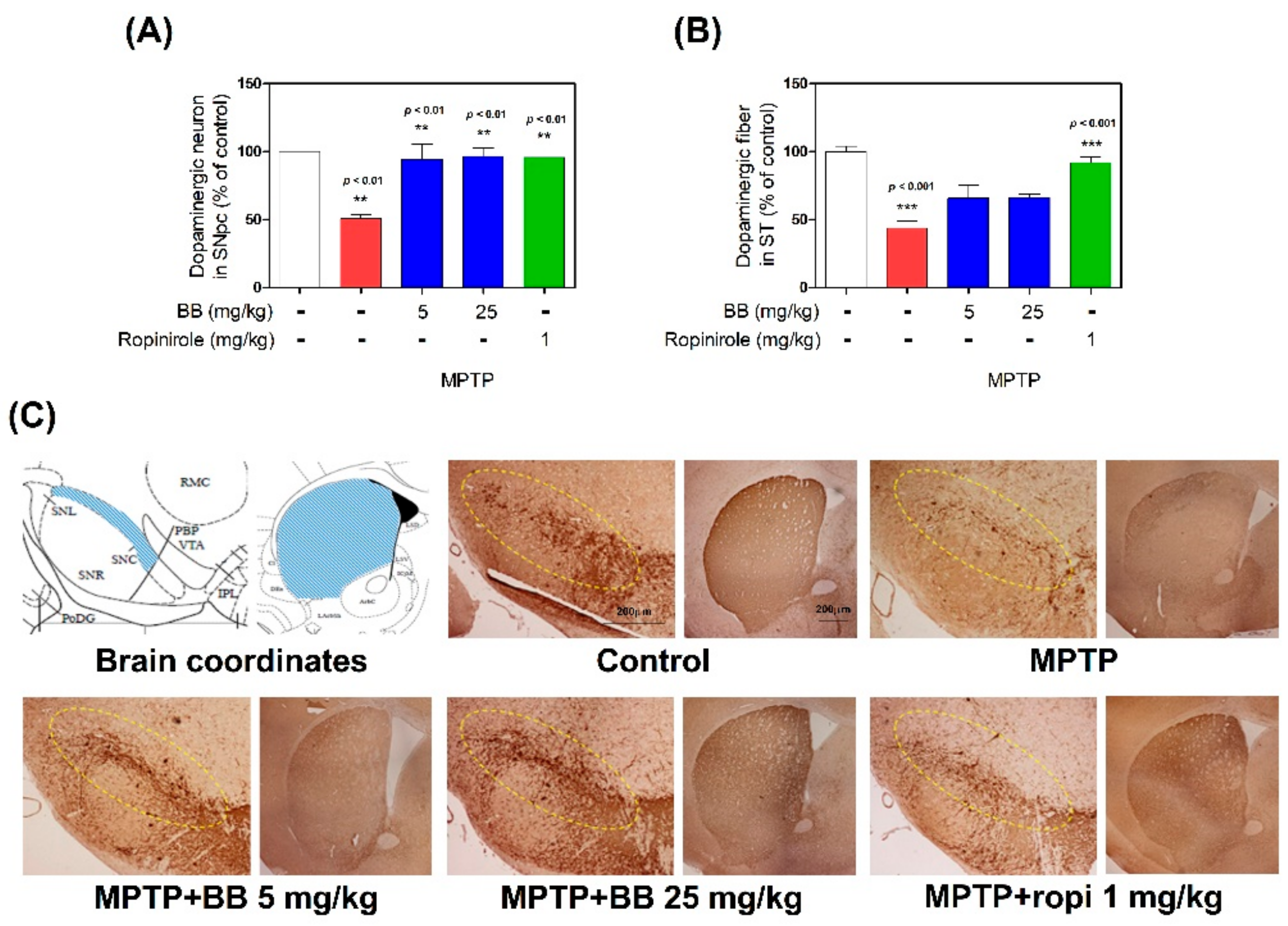 Antioxidants 08 00574 g003