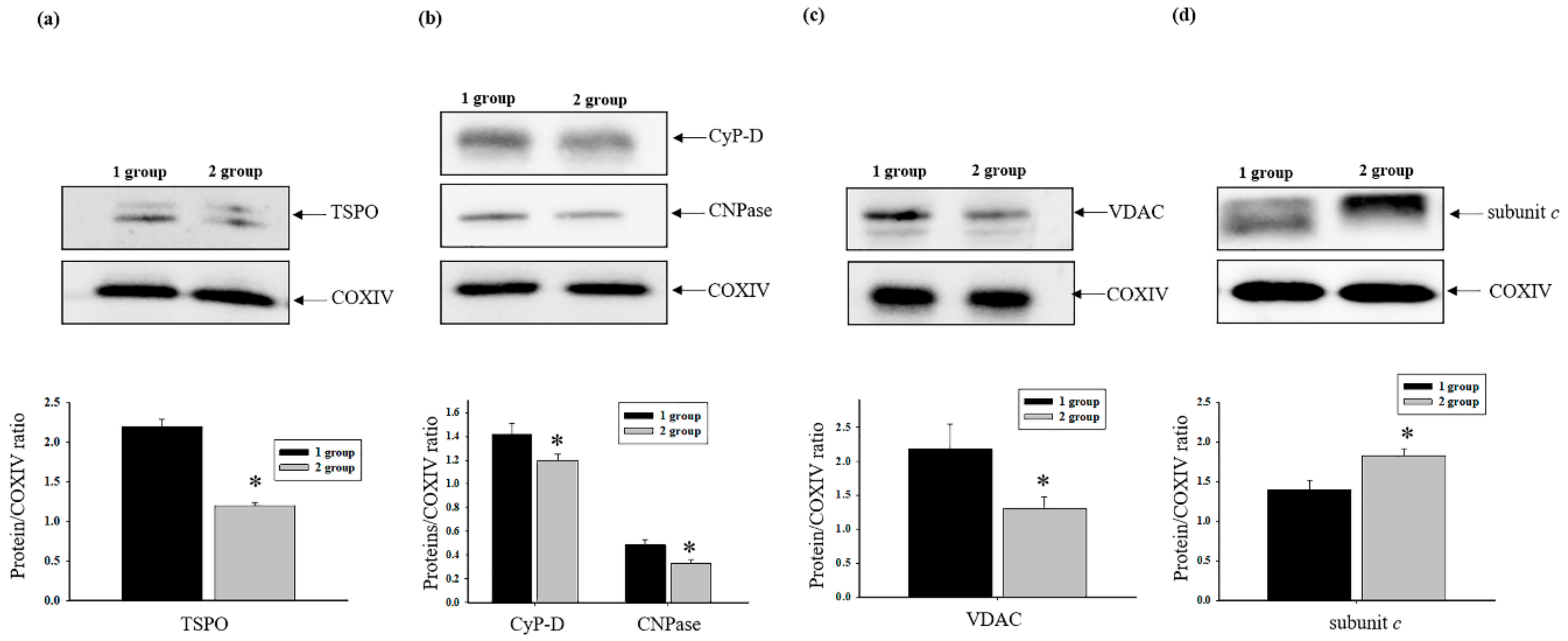 Antioxidants 08 00576 g004 Antioxidants 08 00576 g004