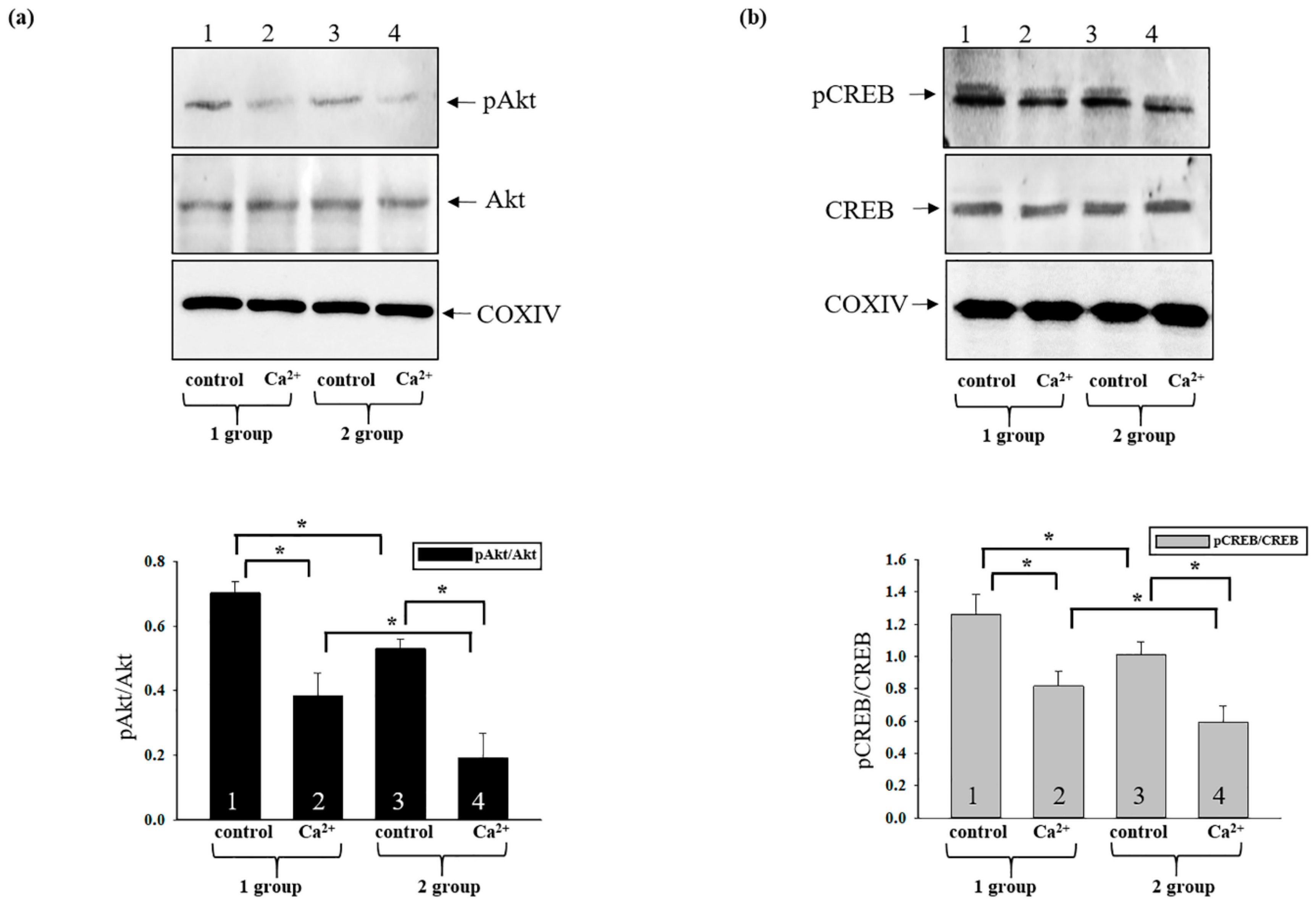 Antioxidants 08 00576 g007 Antioxidants 08 00576 g007