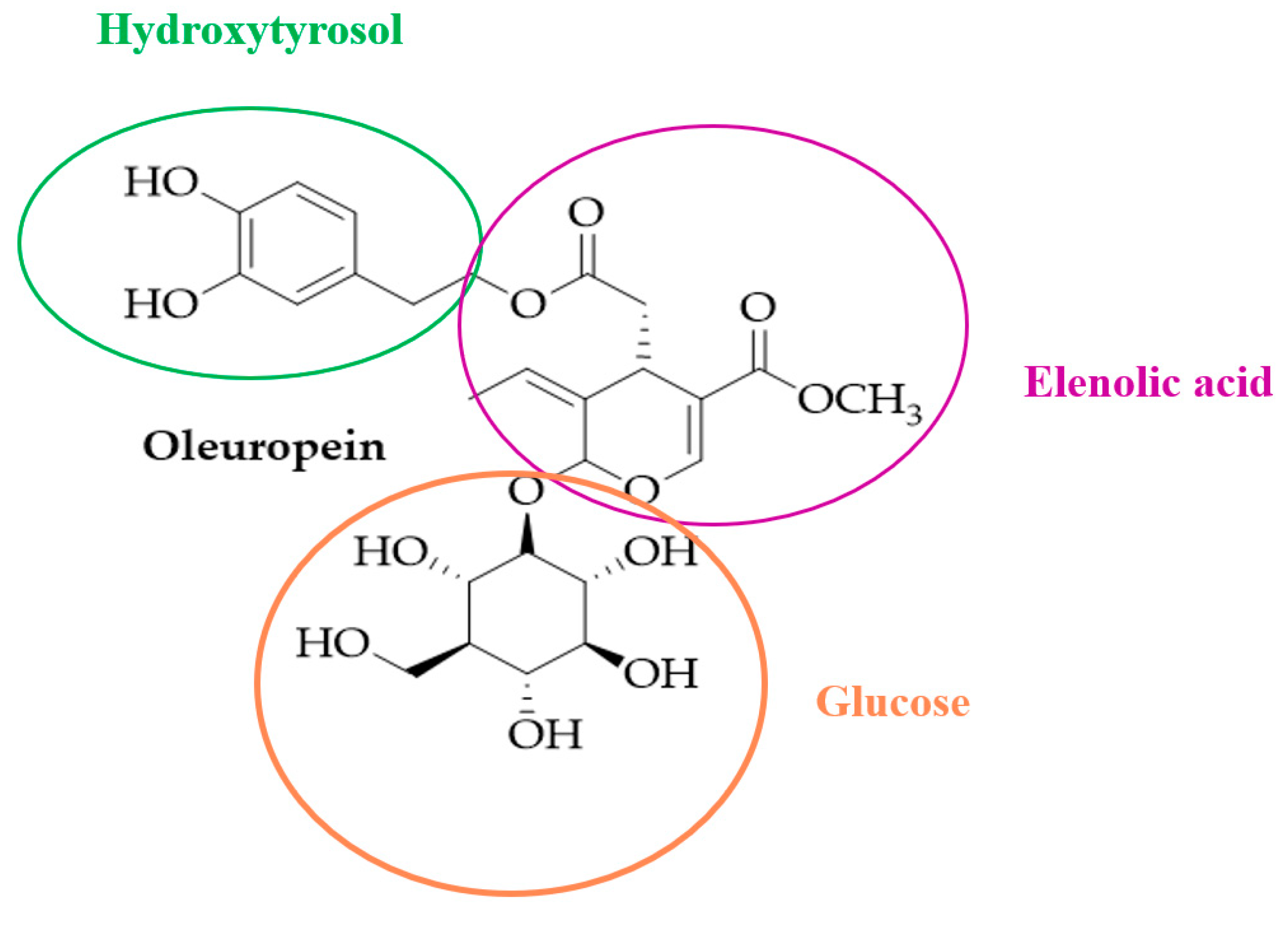 Antioxidants 08 00578 g001