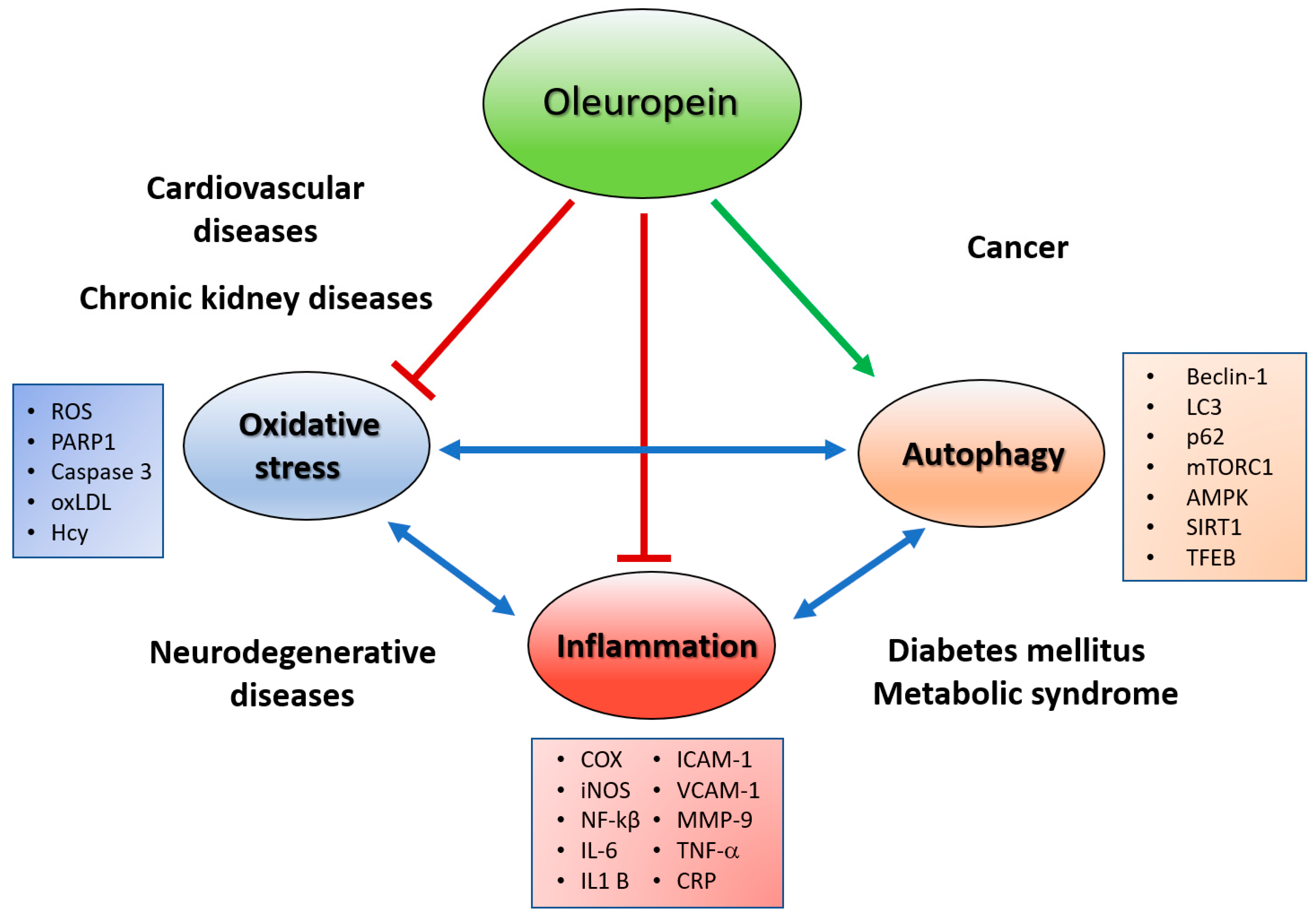 Antioxidants 08 00578 g002