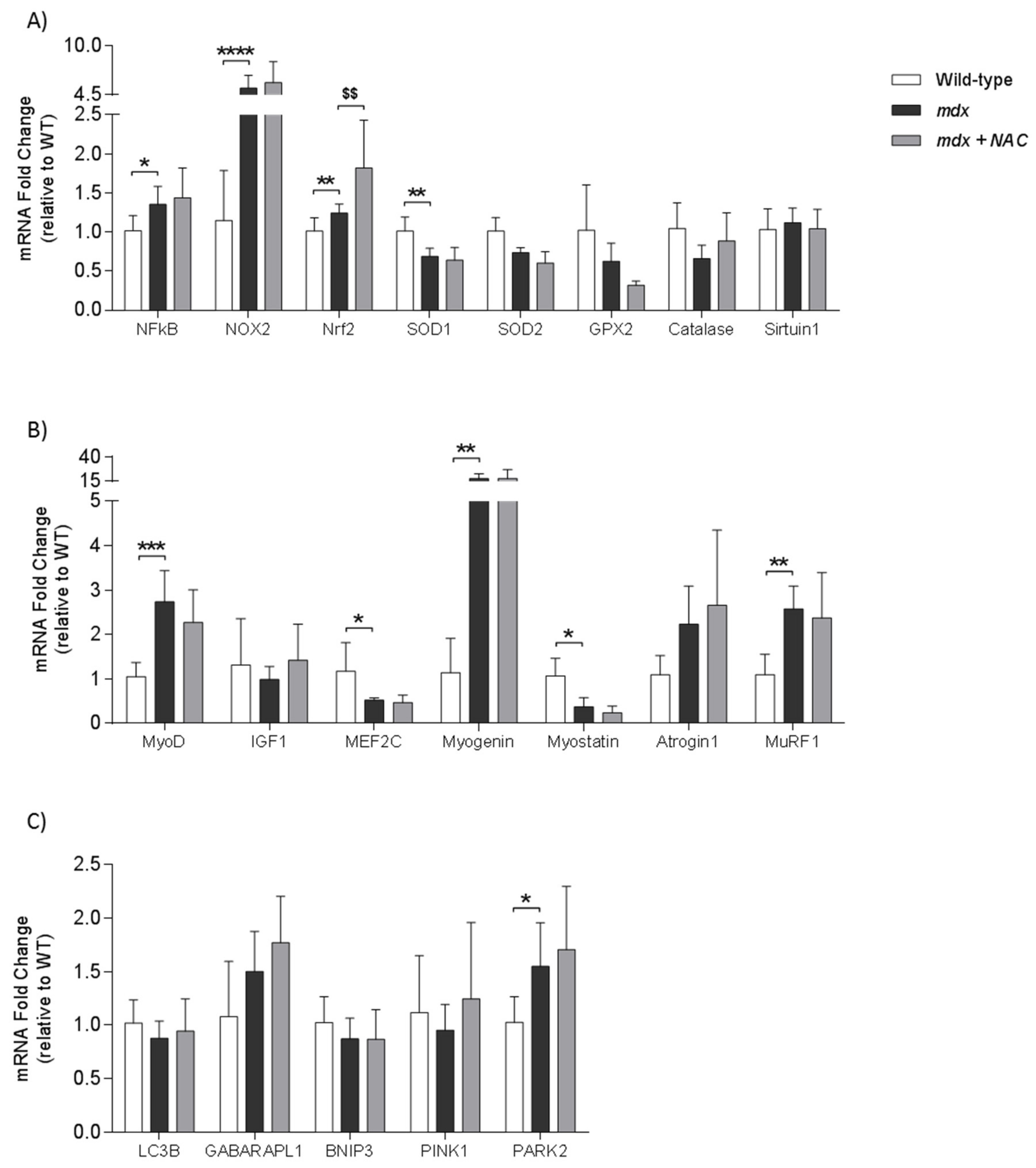 Antioxidants 08 00581 g005