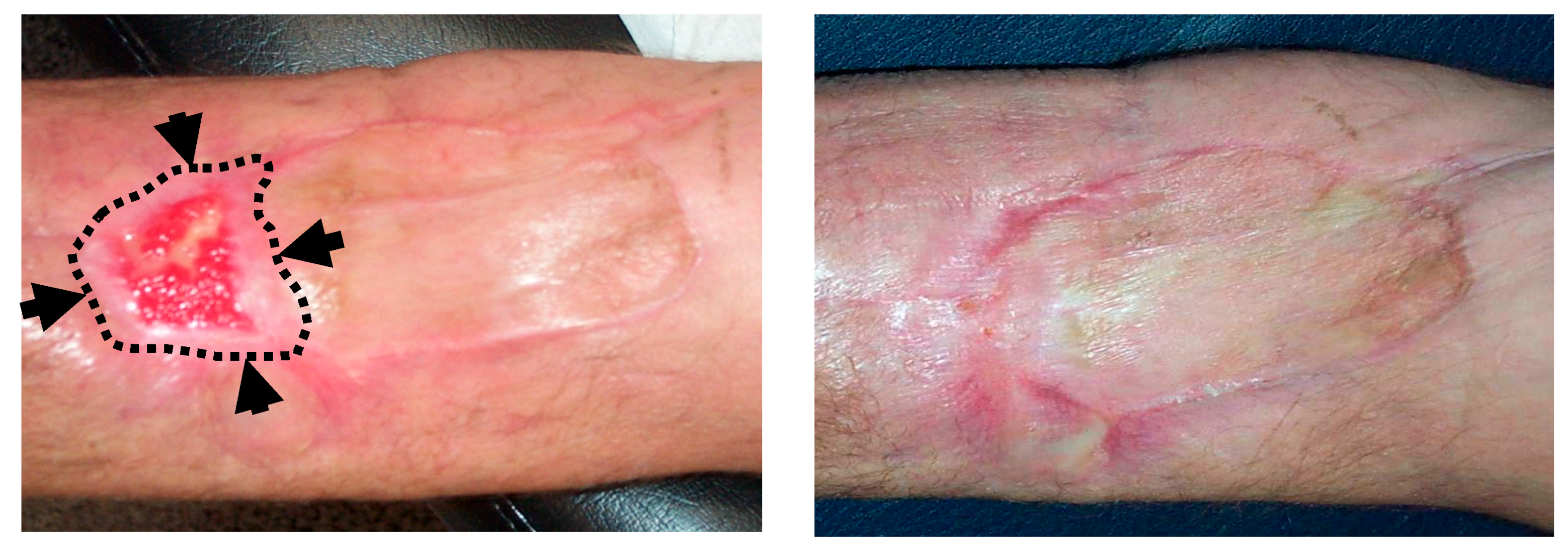 Antioxidants 08 00588 g004