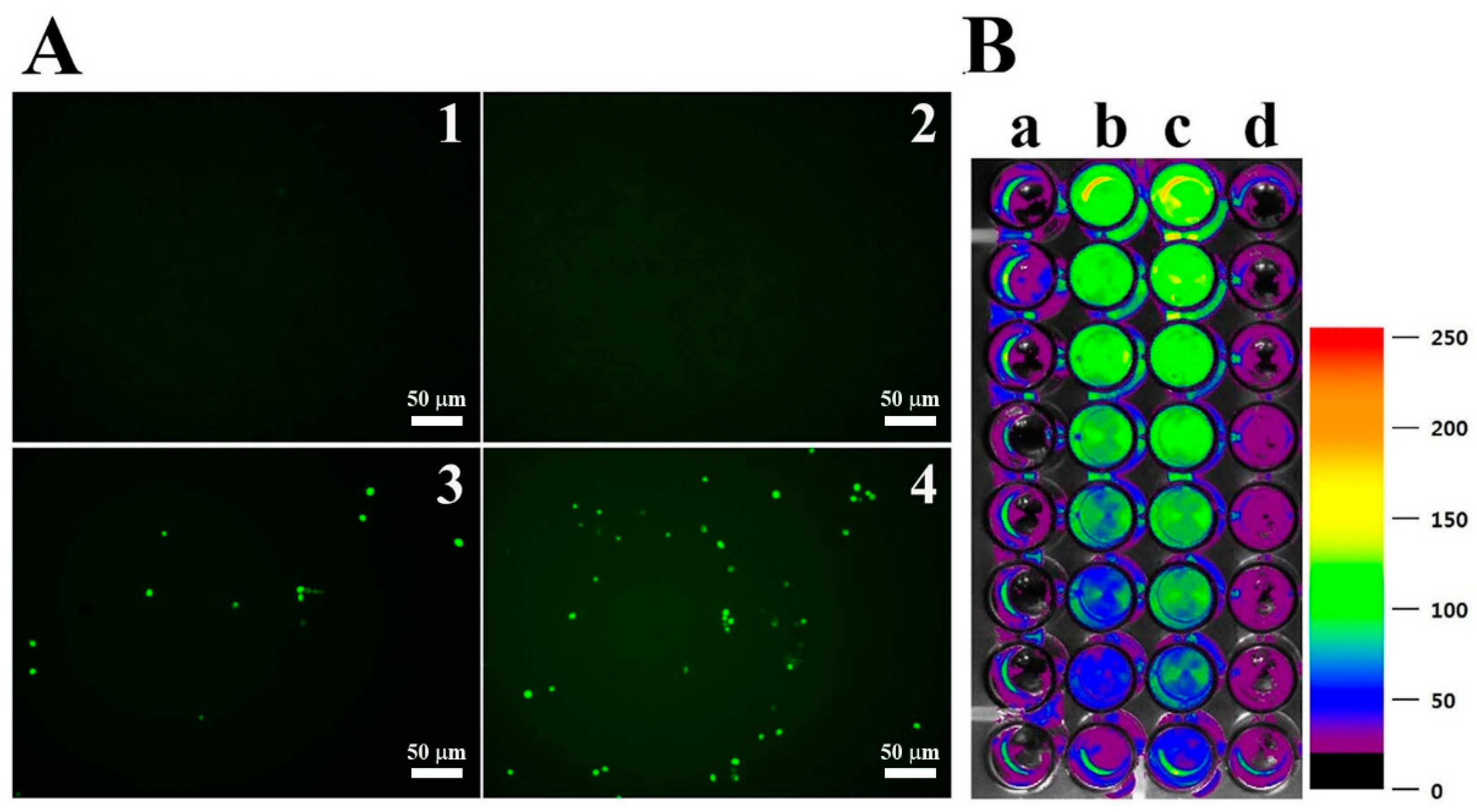 Antioxidants 08 00598 g004