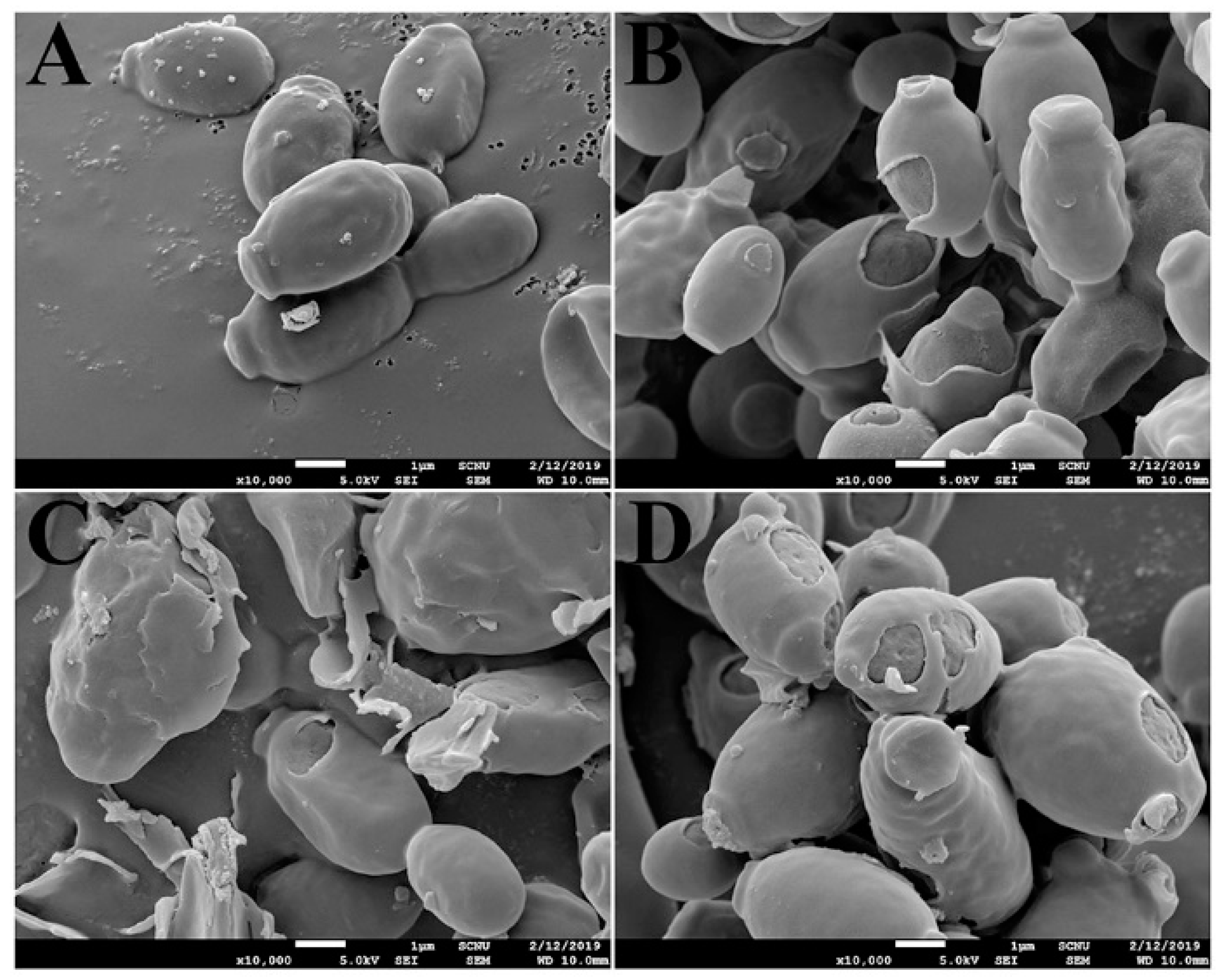 Antioxidants 08 00598 g007