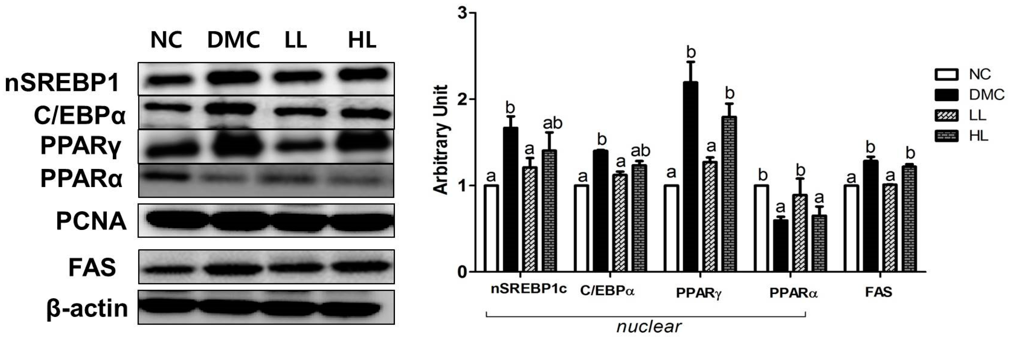 Antioxidants 08 00599 g004