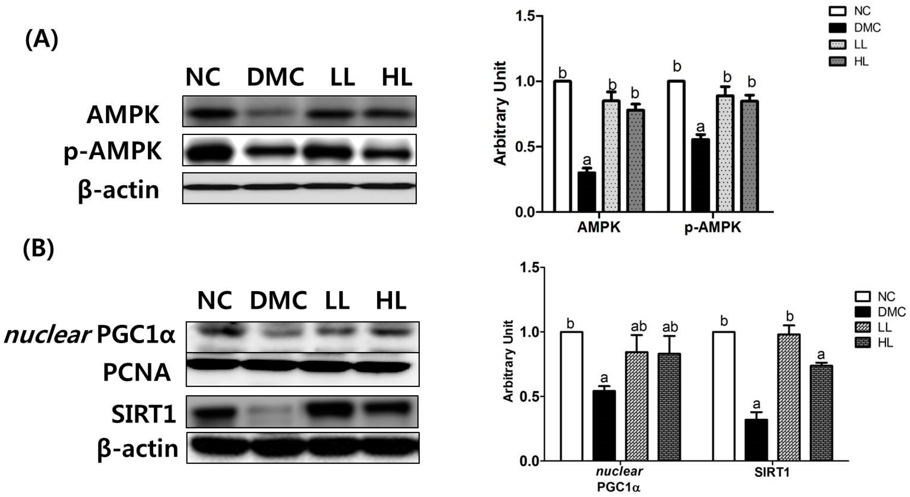 Antioxidants 08 00599 g005