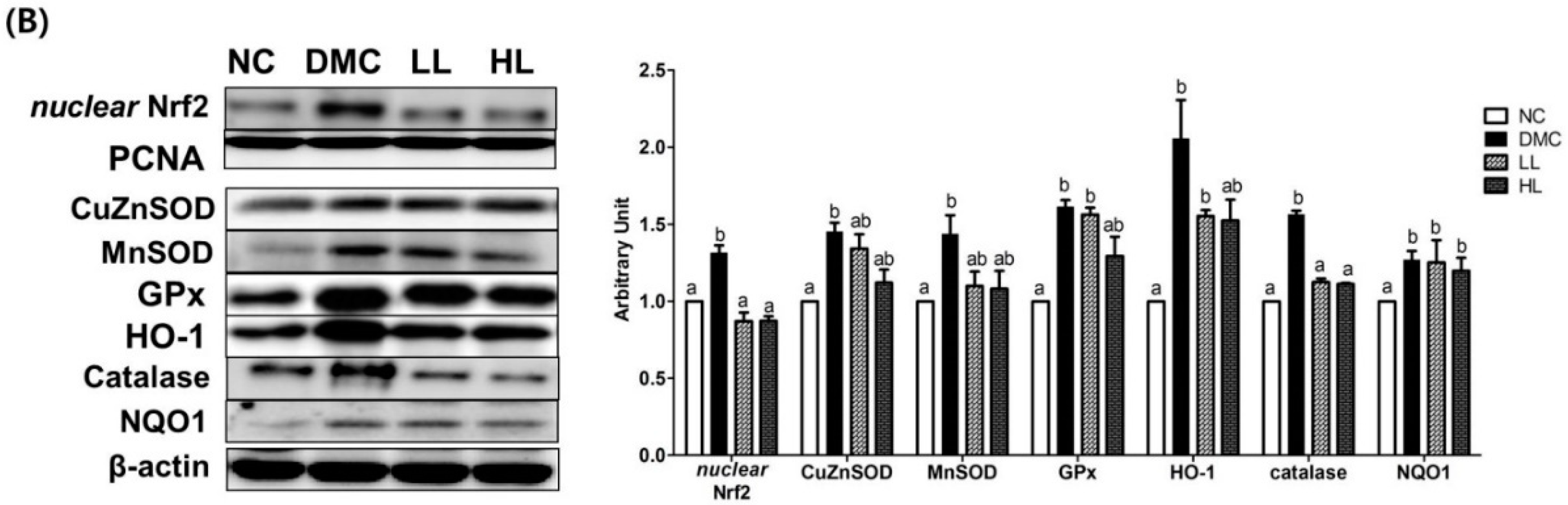 Antioxidants 08 00599 g006b