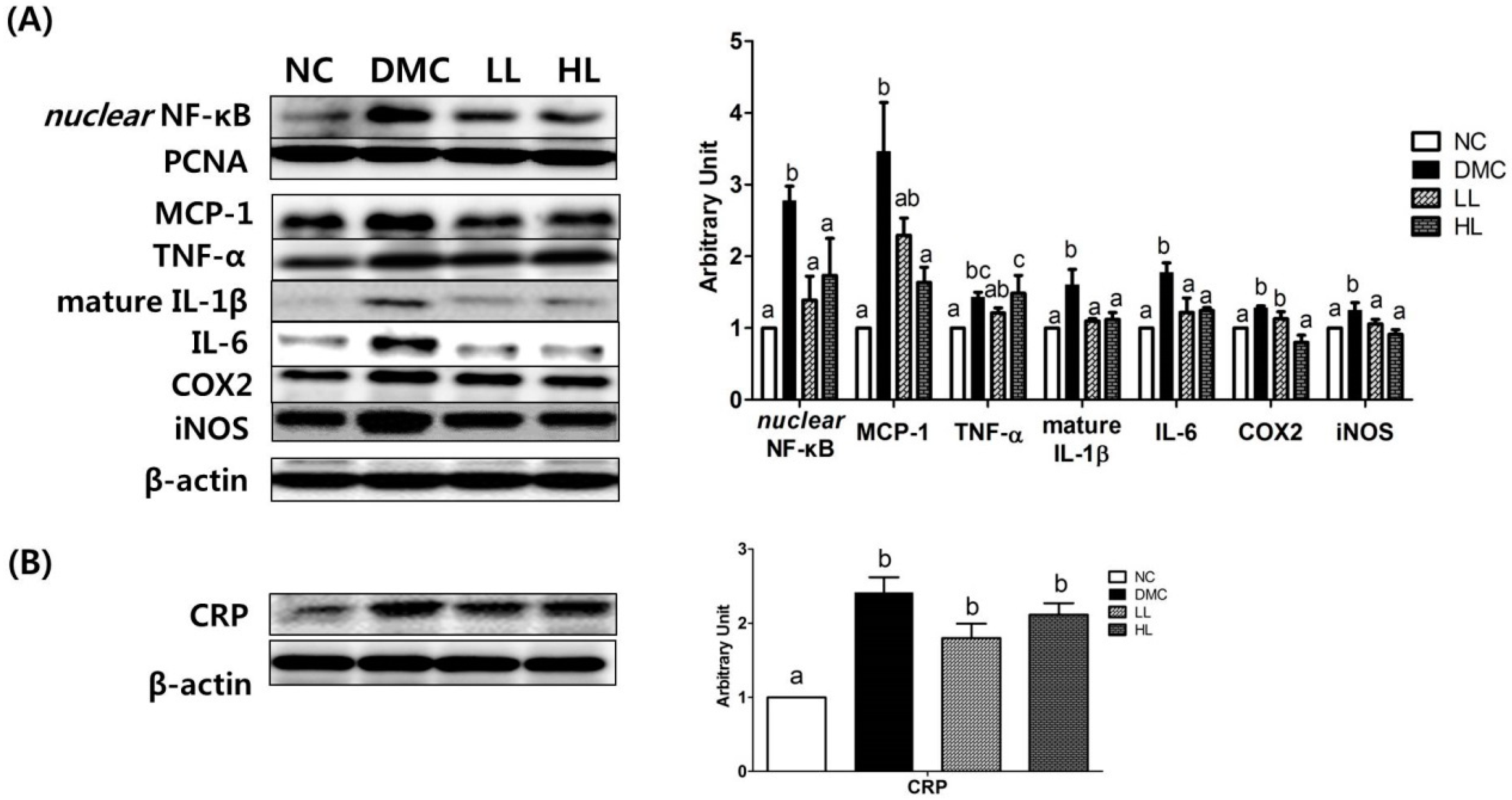 Antioxidants 08 00599 g007