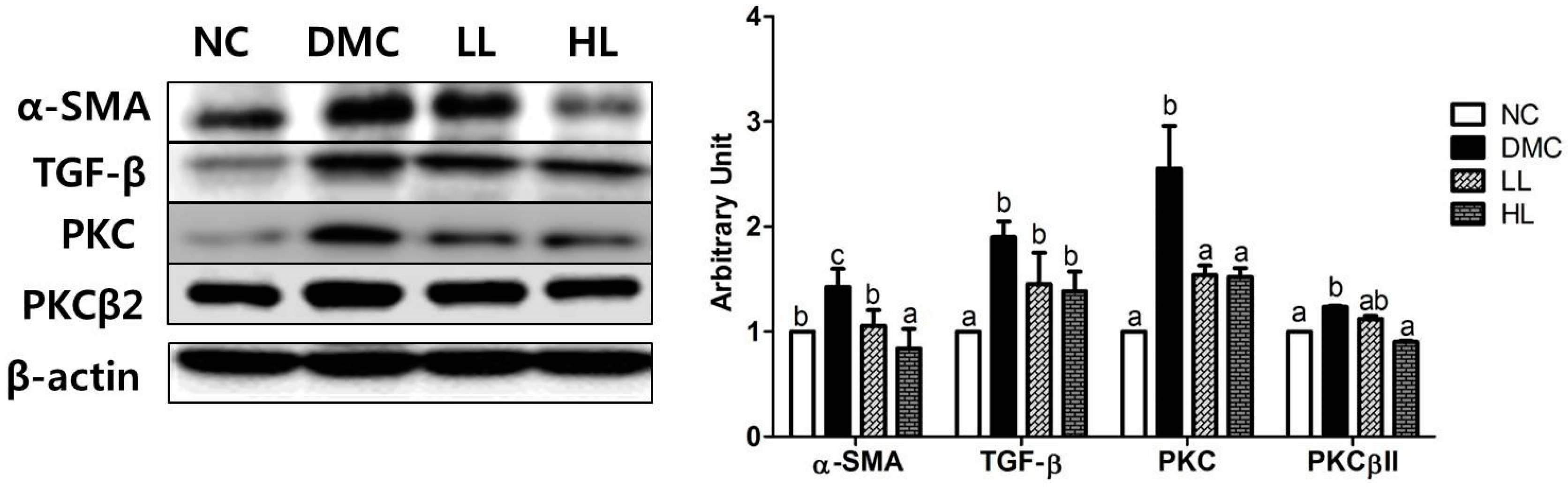 Antioxidants 08 00599 g008